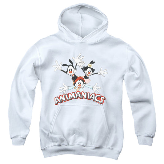 Animaniacs Animaniacs Trio Kids Youth Hoodie White - clothing by TeeHivey.com