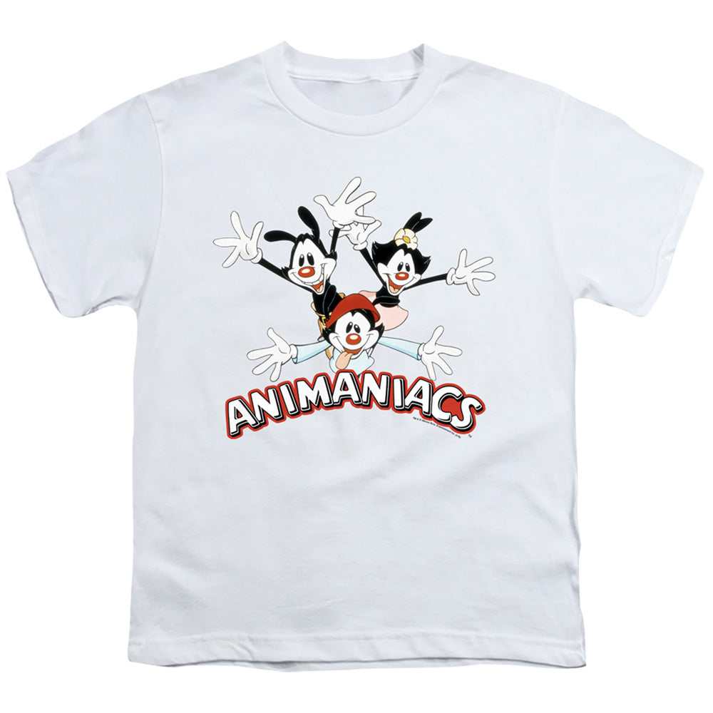 Animaniacs Animaniacs Trio Kids Youth T Shirt White - clothing by TeeHivey.com