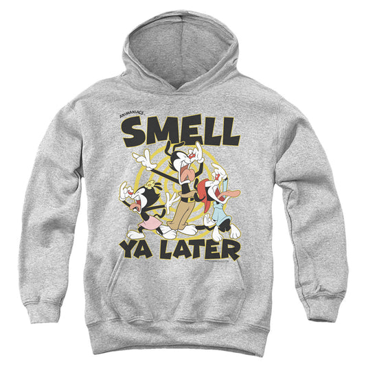 Animaniacs ell Ya Later Kids Youth Hoodie Athletic Heather - clothing by TeeHivey.com
