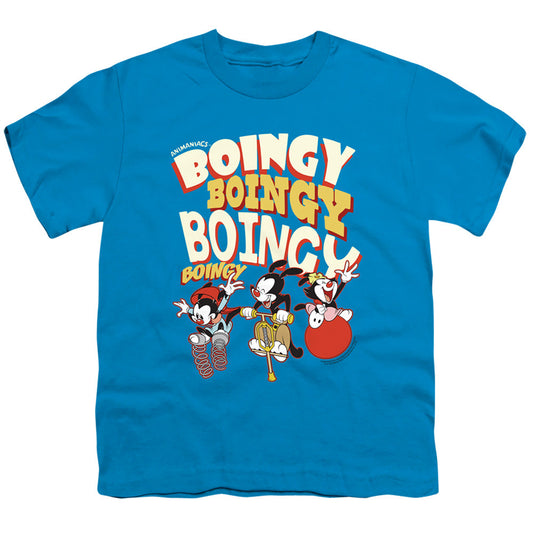 Animaniacs Boingy Kids Youth T Shirt Turquoise - clothing by TeeHivey.com