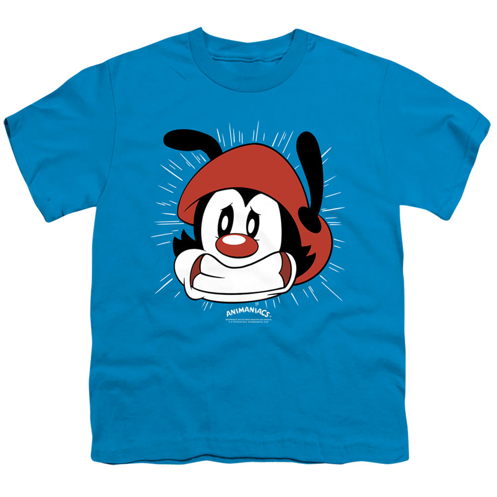 Animaniacs Gotta Go Kids Youth T Shirt Turquoise - clothing by TeeHivey.com