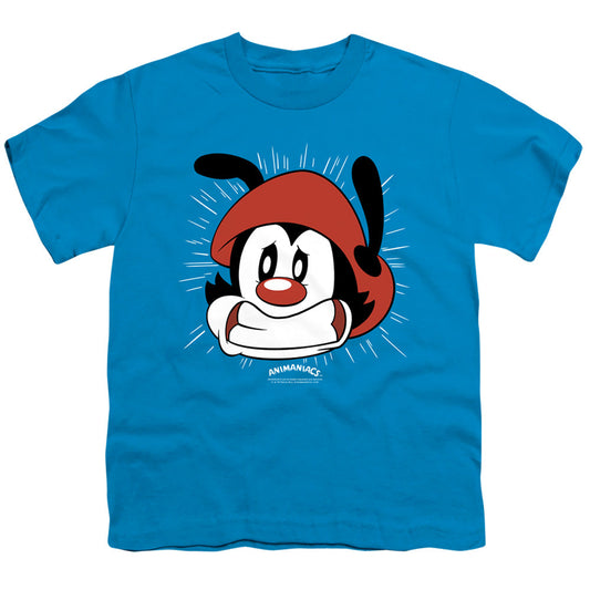 Animaniacs Gotta Go Kids Youth T Shirt Turquoise - clothing by TeeHivey.com