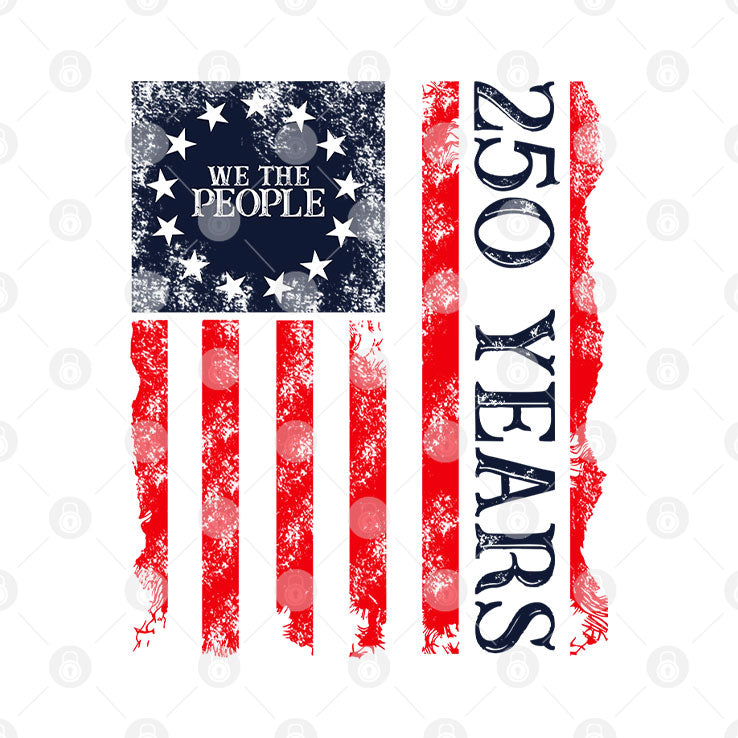 We The People 250 Years America 250 T Shirt