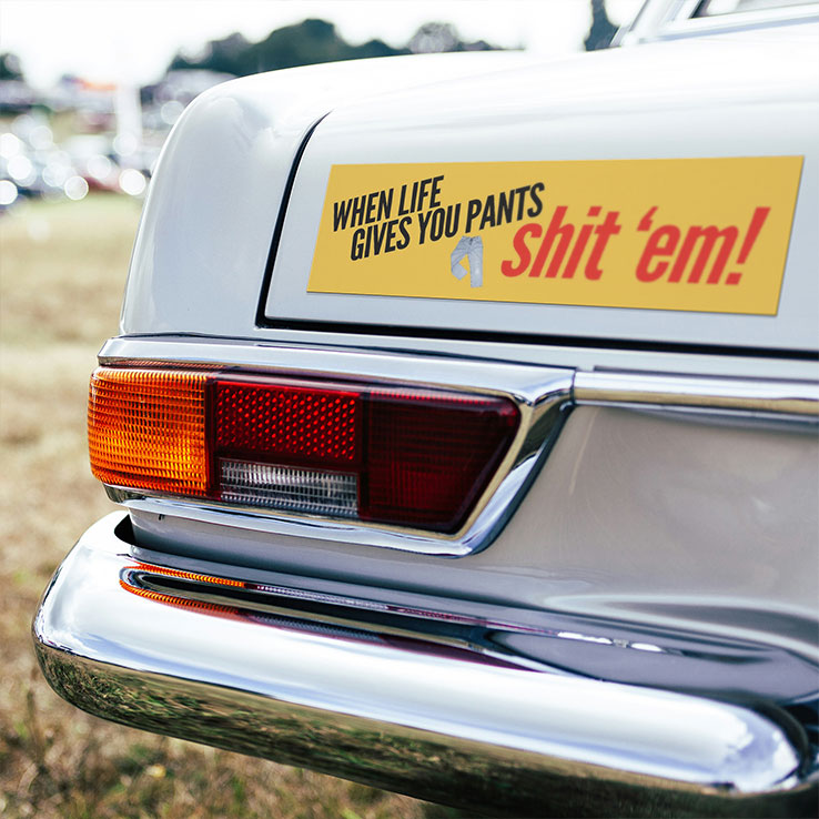When Life Gives You Pants Shit ‘Em Car Magnet