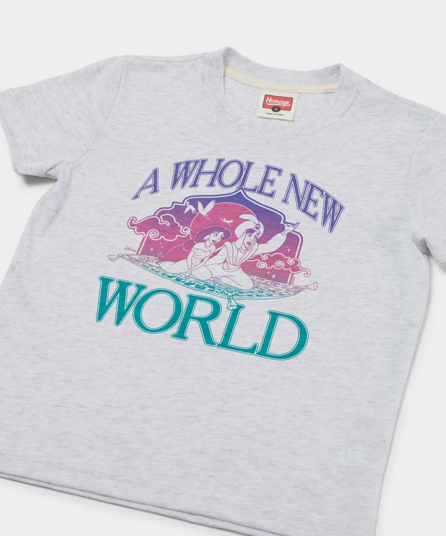 Youth Aladdin A Whole New World