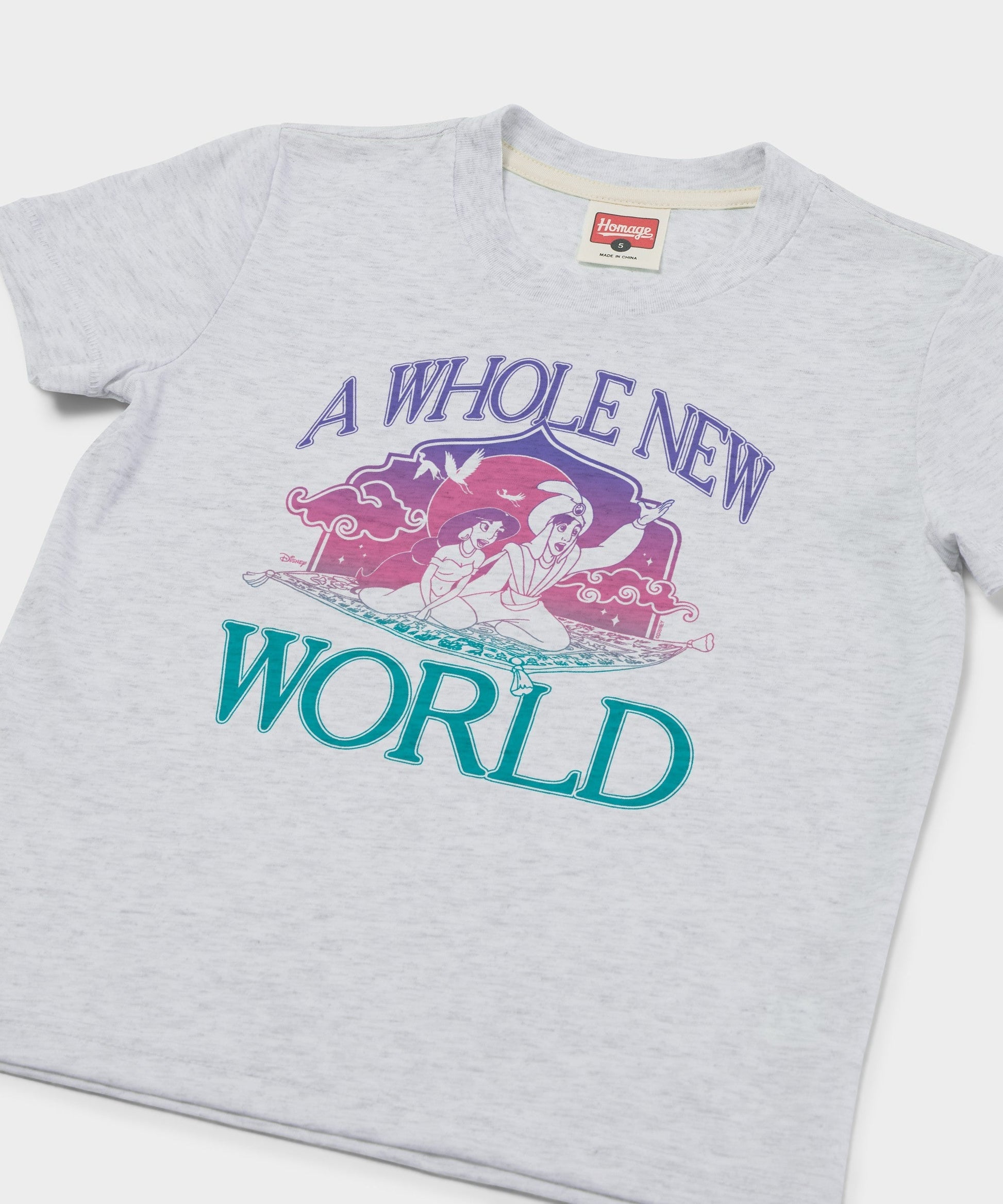 Youth Aladdin A Whole New World