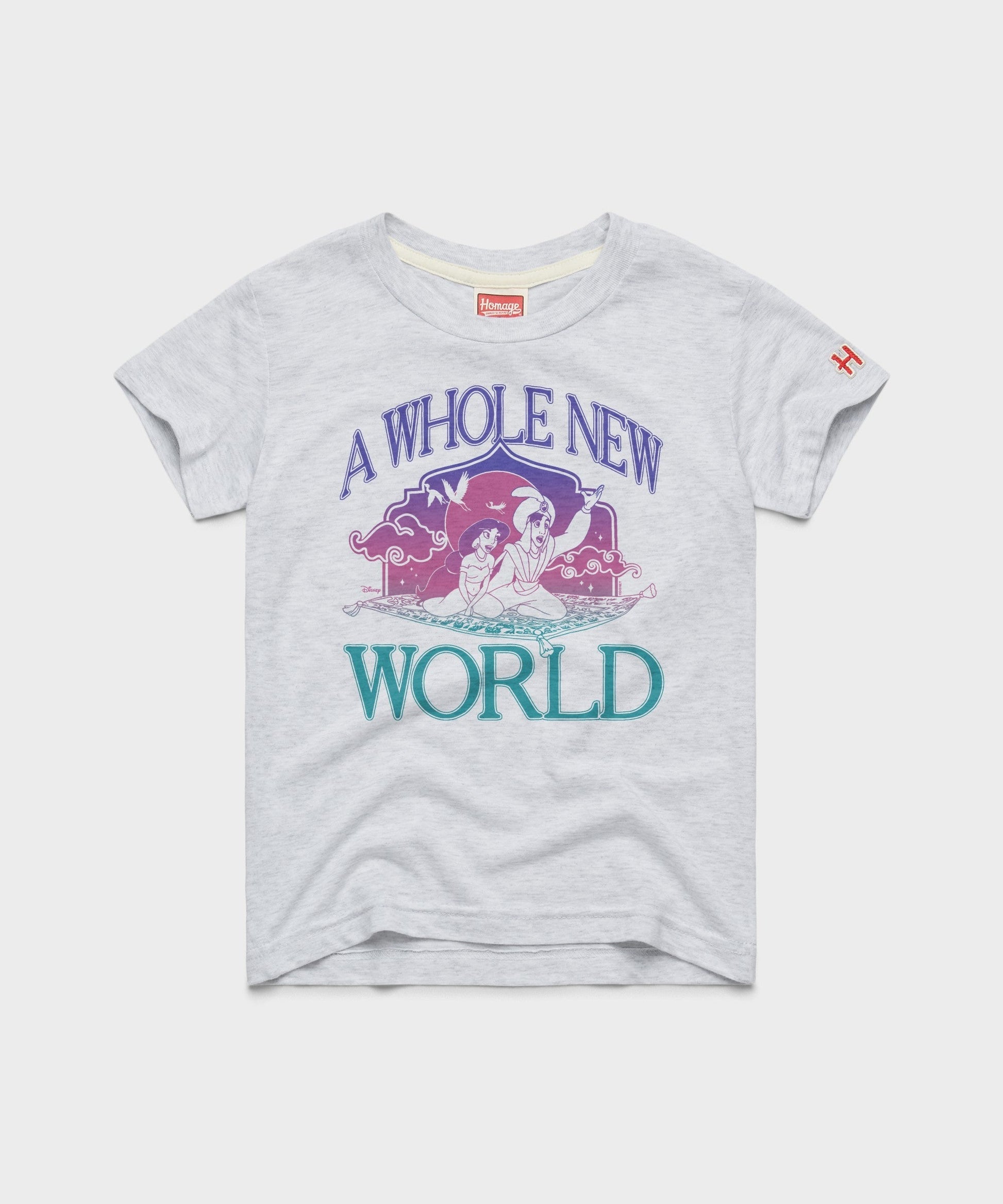 Youth Aladdin A Whole New World