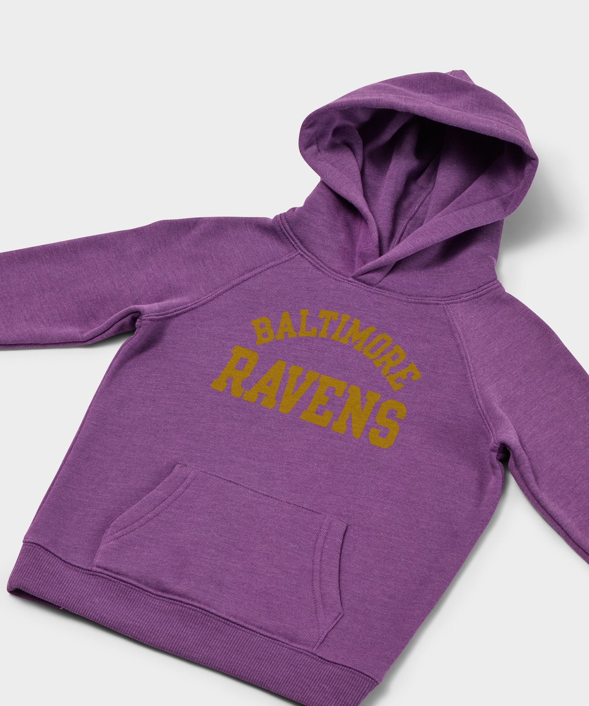 Youth Baltimore Ravens Classic Hoodie
