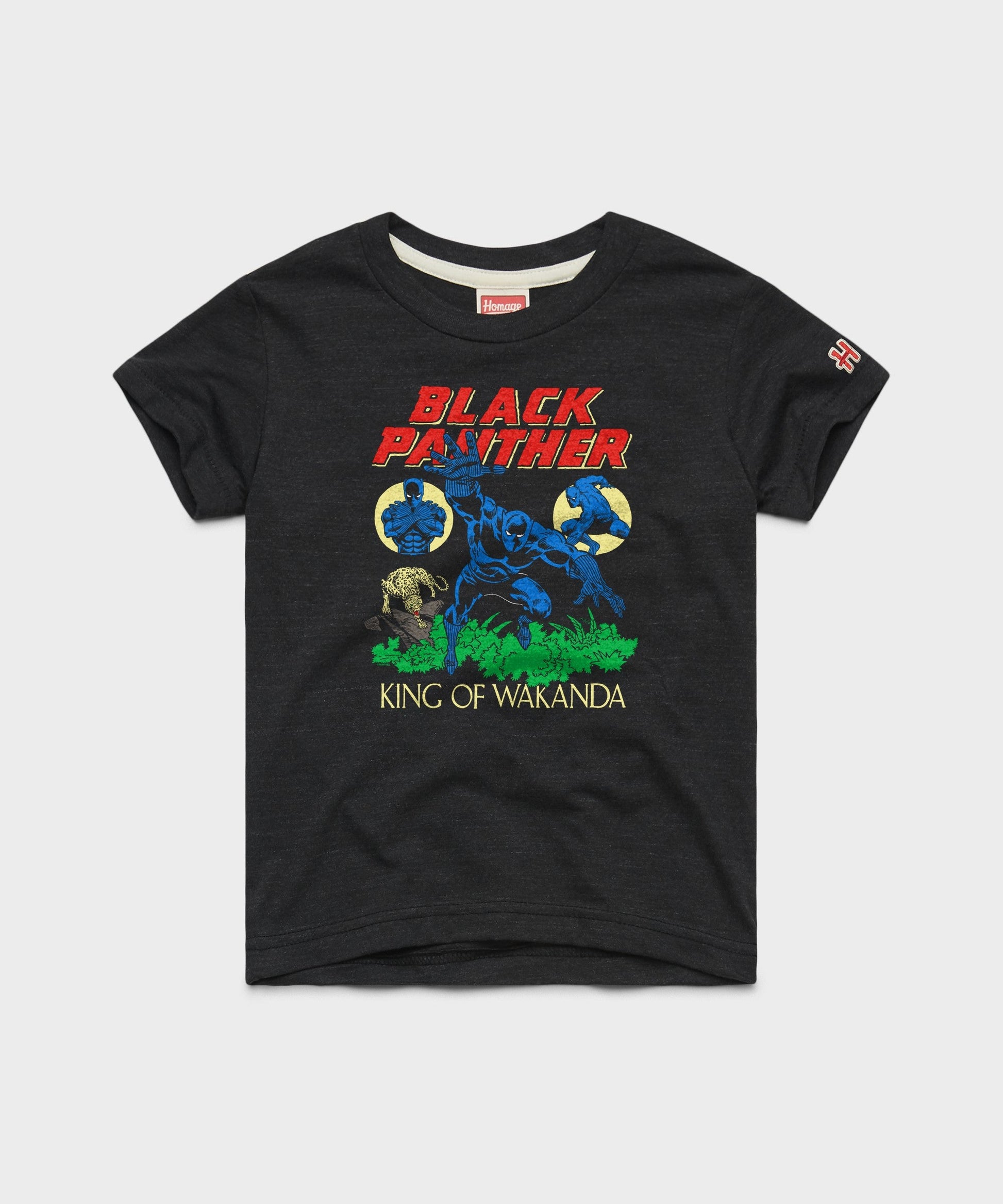 Youth Black Panther The King Of Wakanda