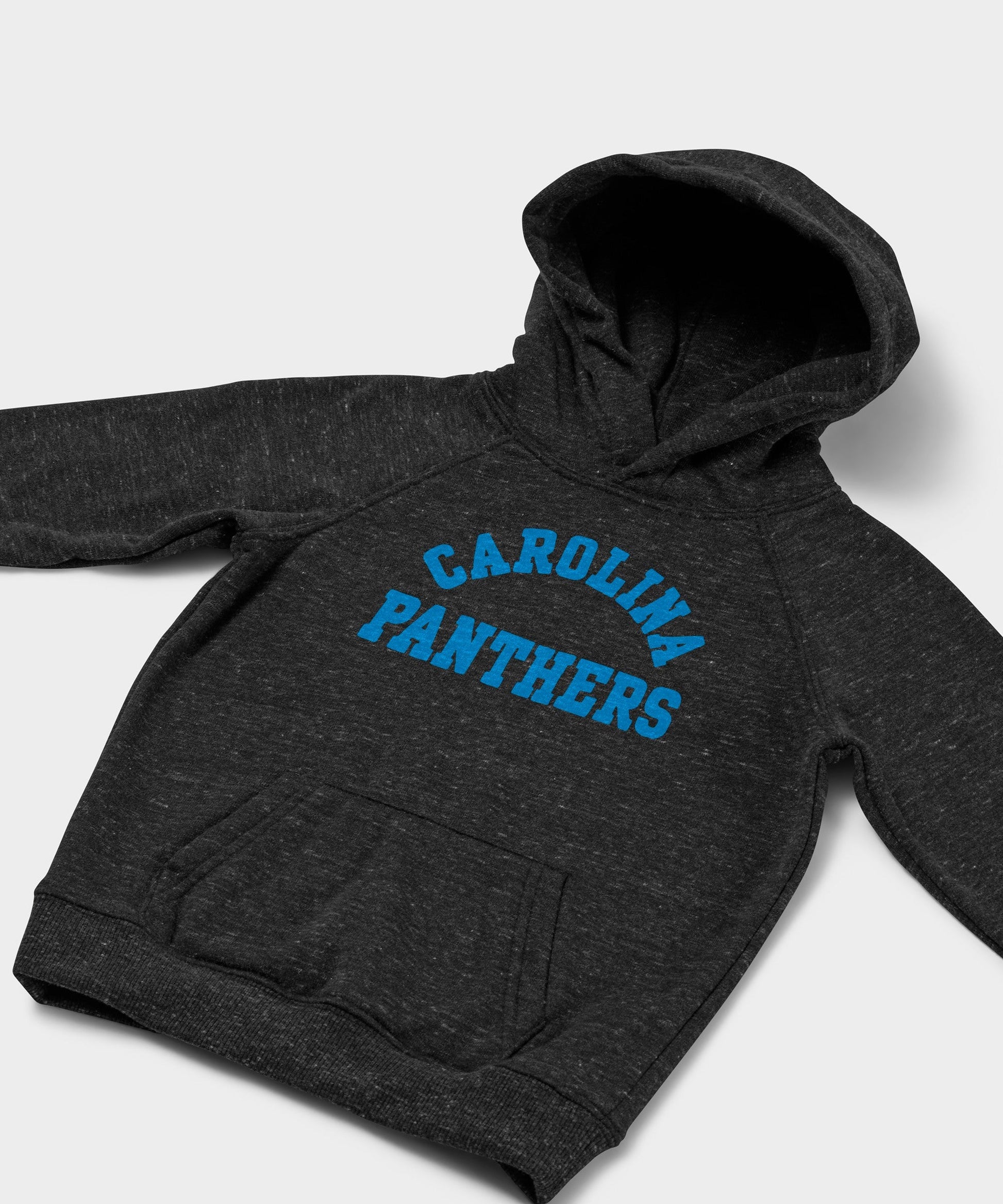 Youth Carolina Panthers Classic Hoodie
