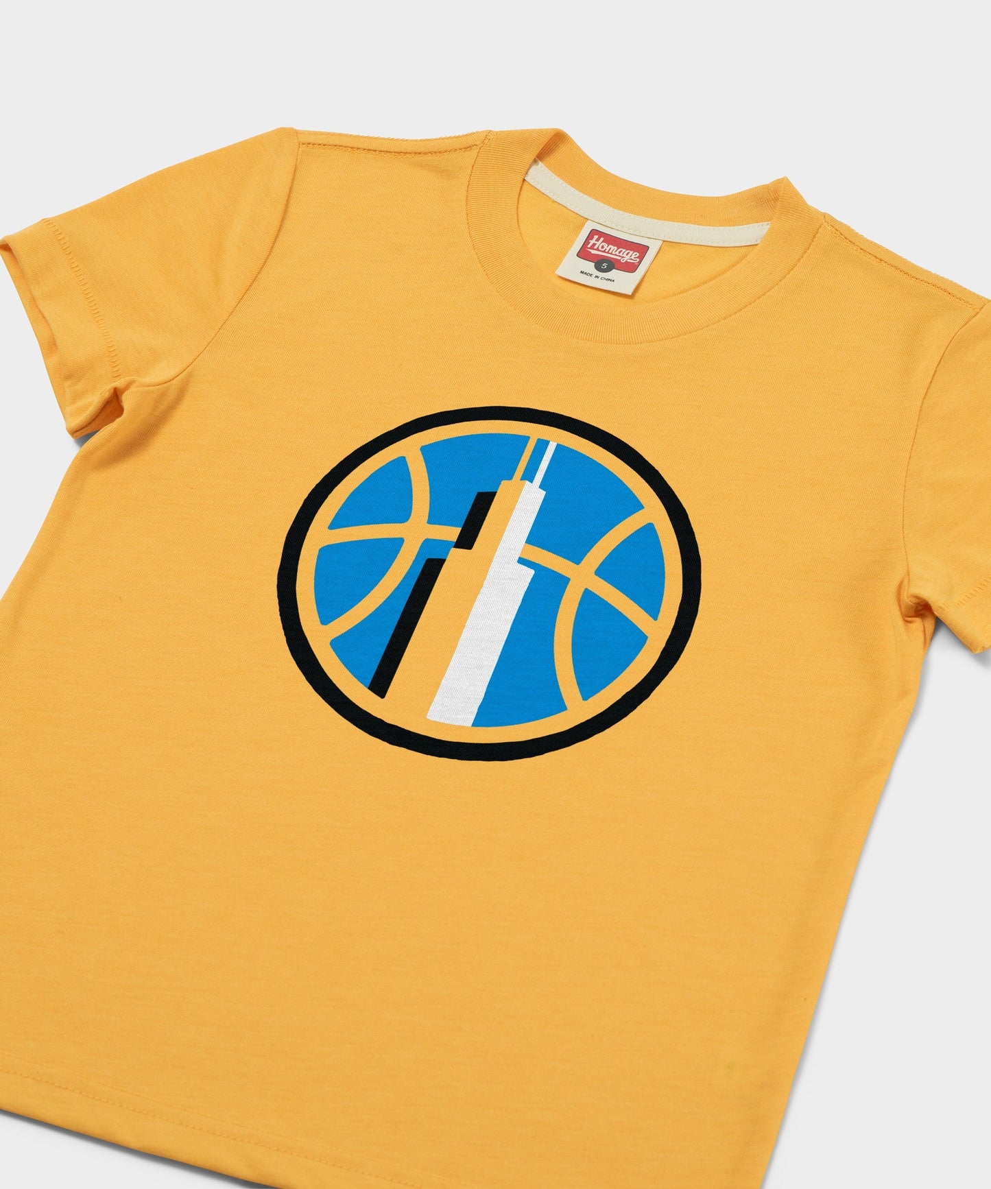 Youth Chicago Sky Logo