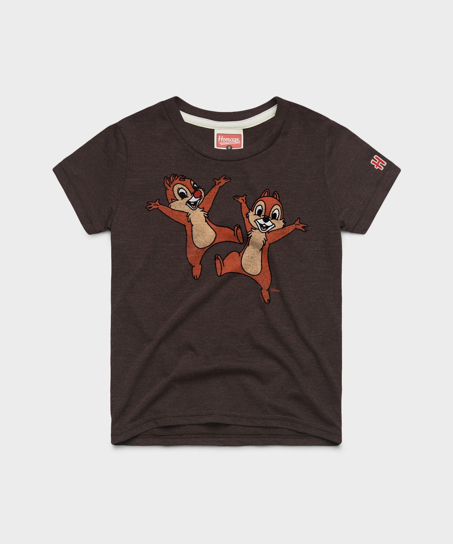 Youth Chip 'n Dale Character