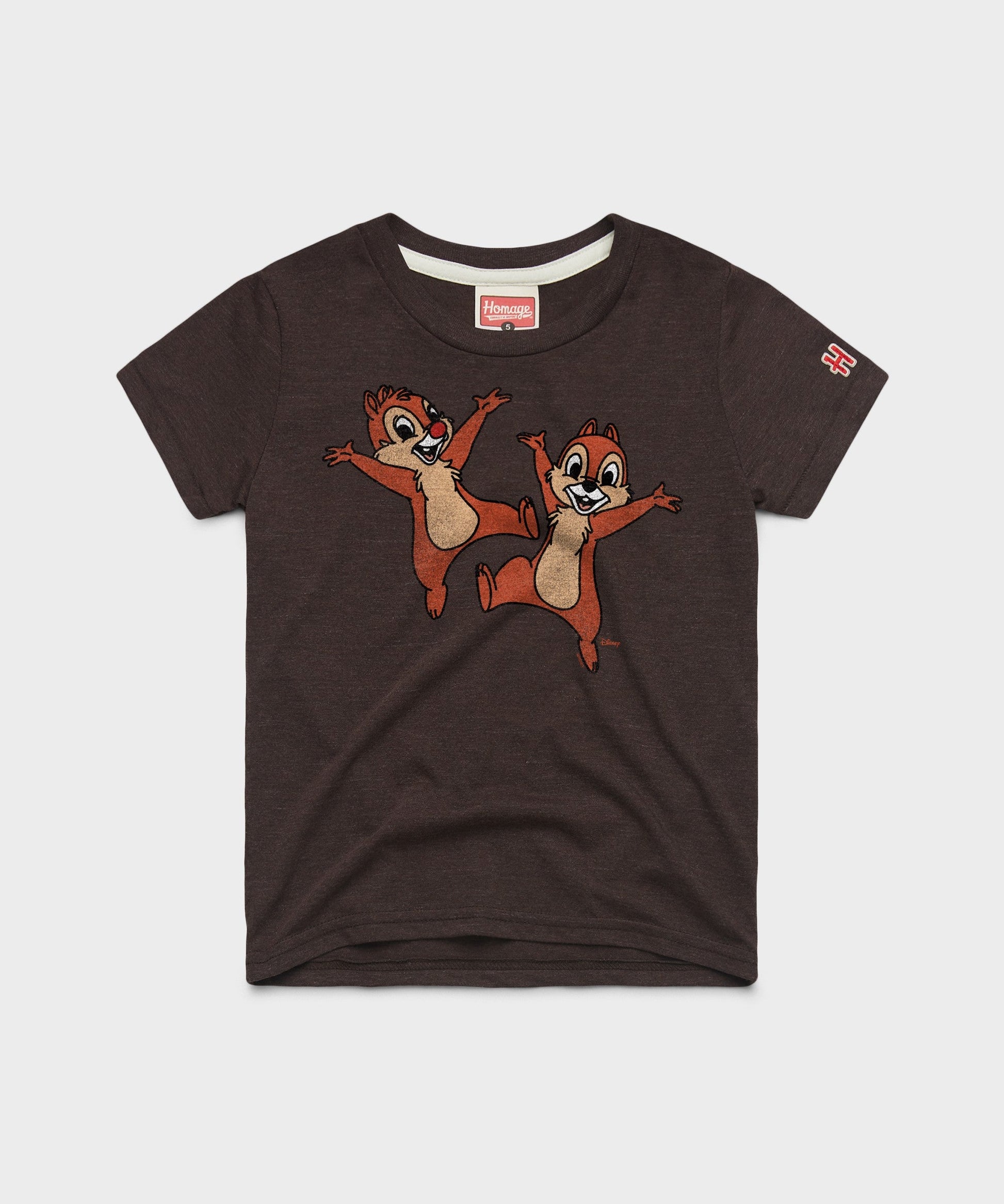 Youth Chip 'n Dale Character