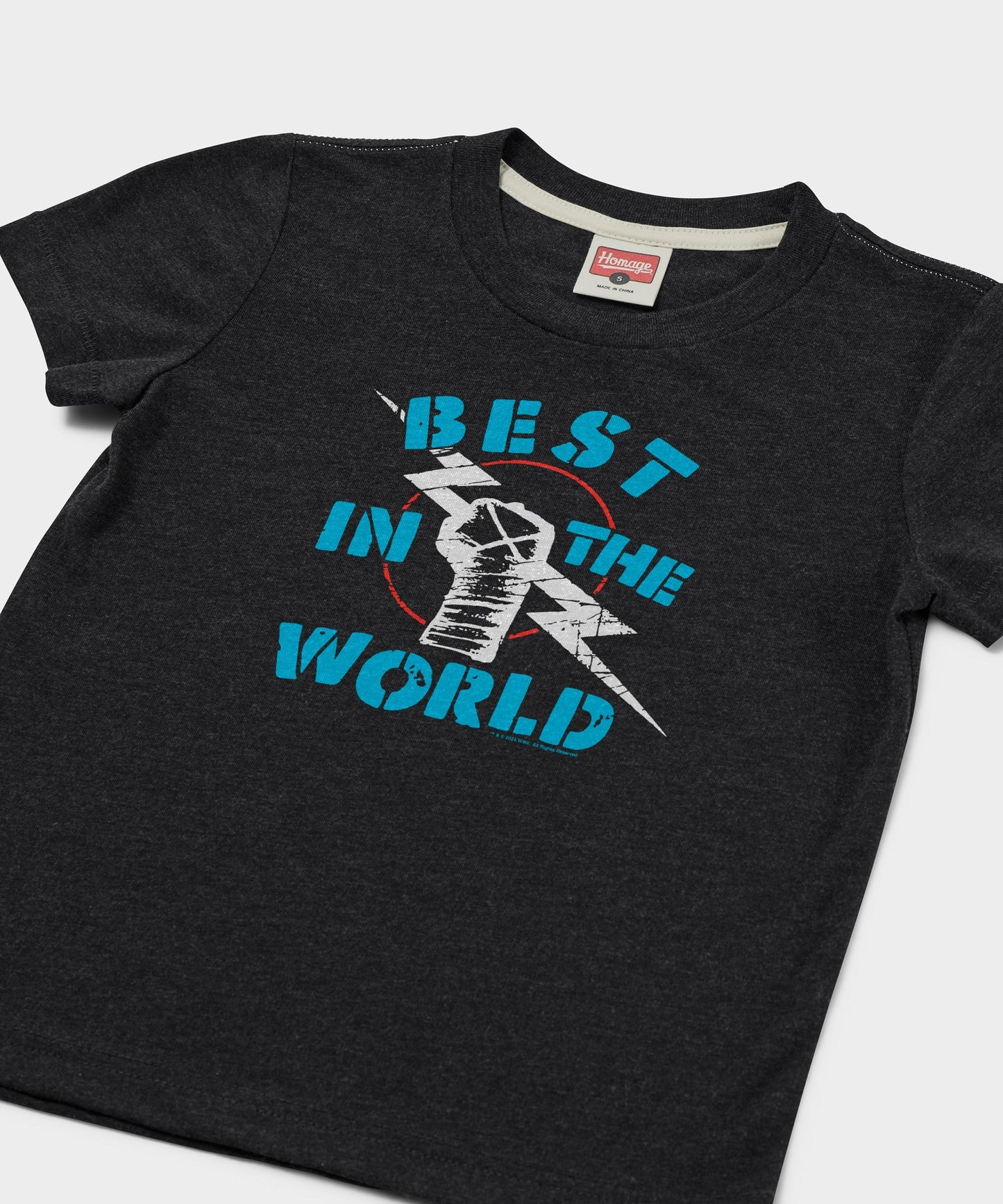 Youth CM Punk Best In The World