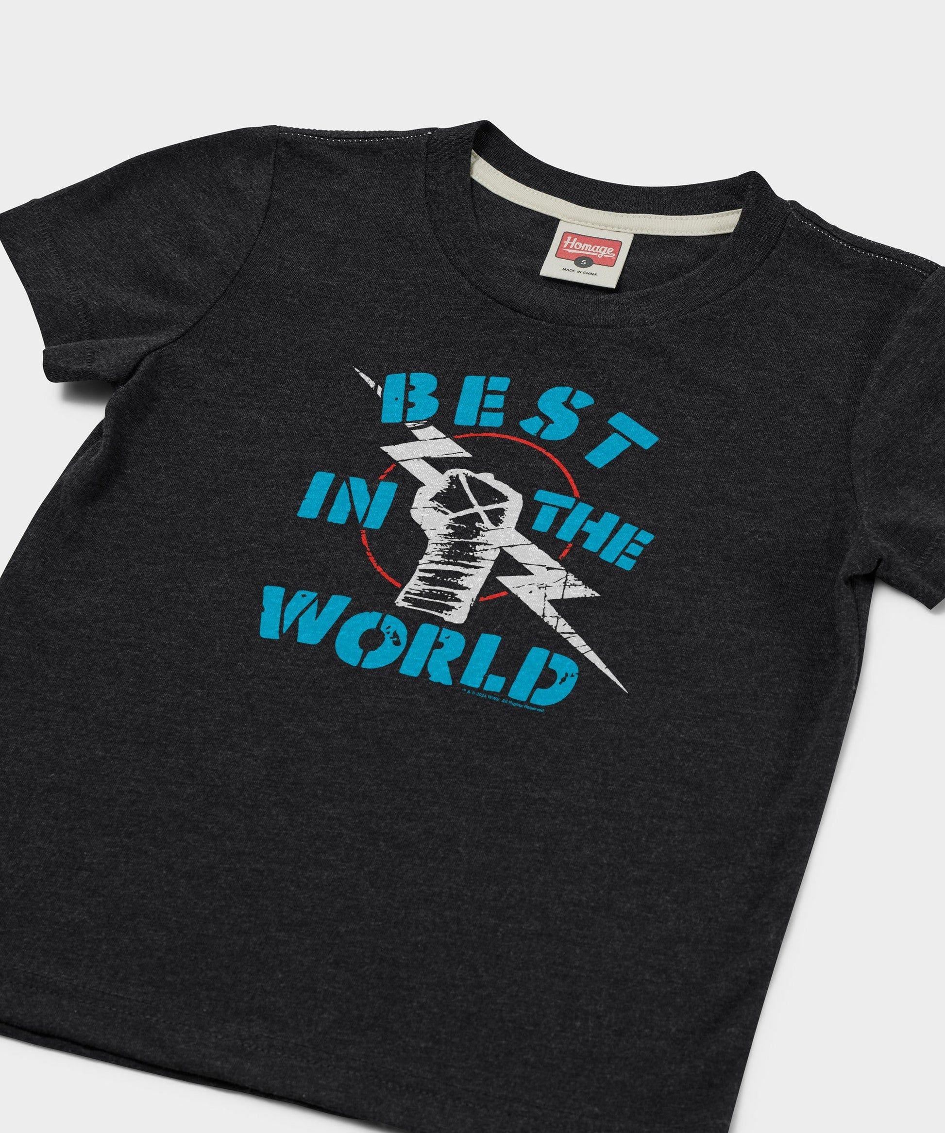 Youth CM Punk Best In The World