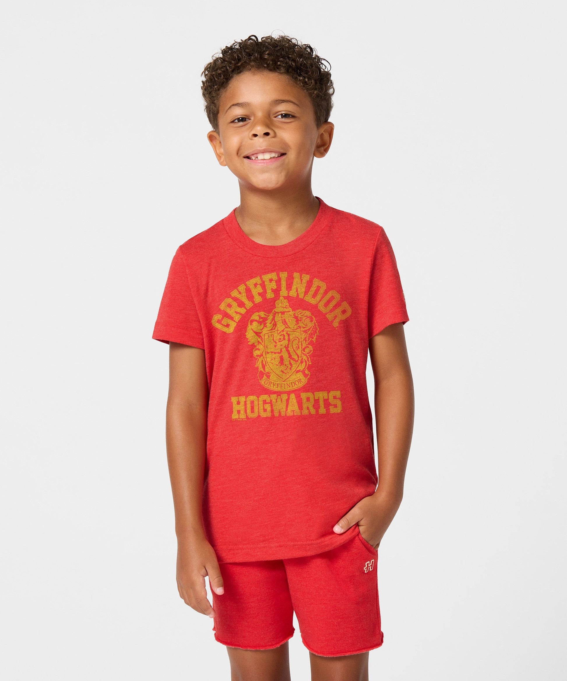 Youth Gryffindor Crest
