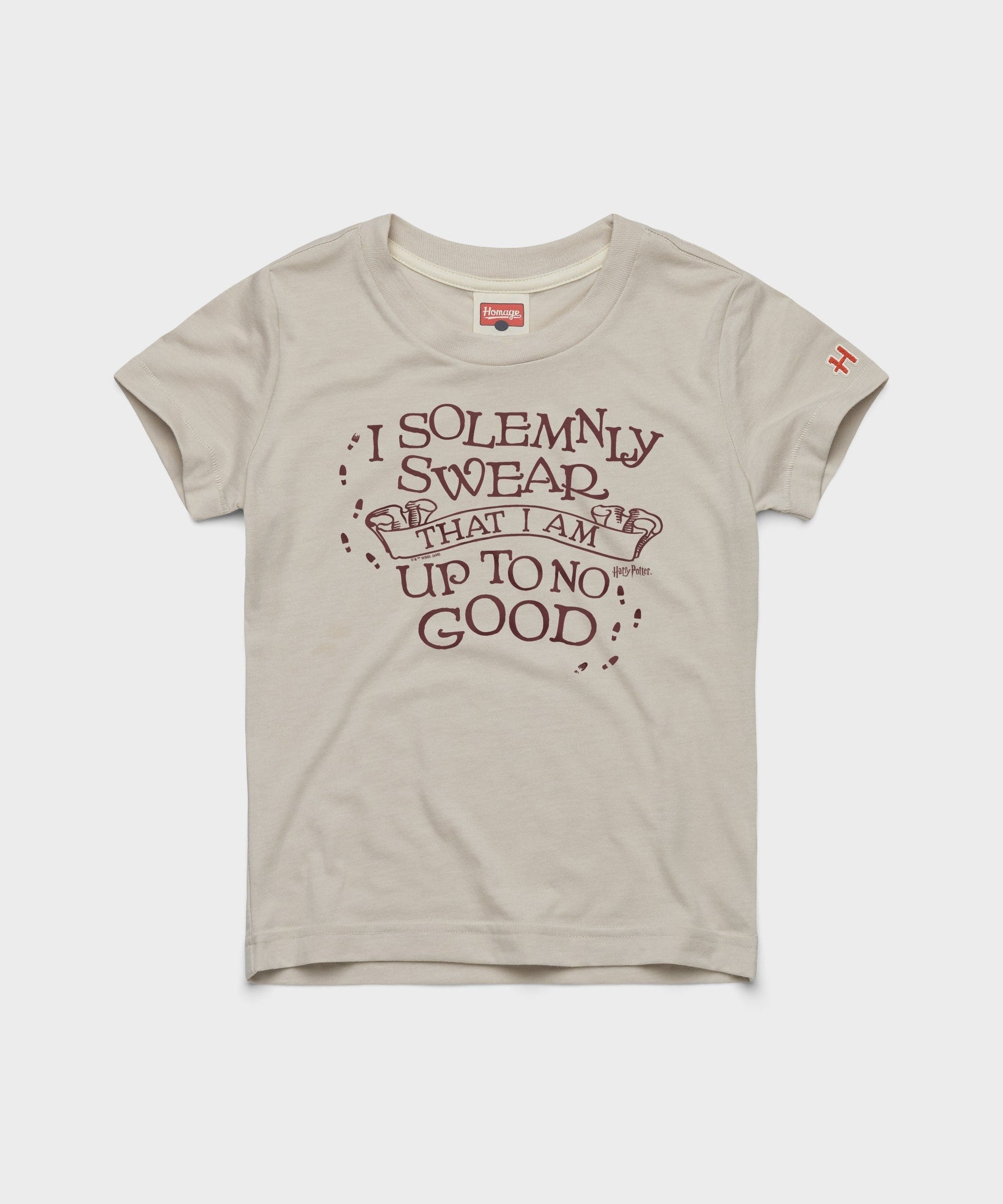 Youth I Solemnly Swear That I Am Up To No Good