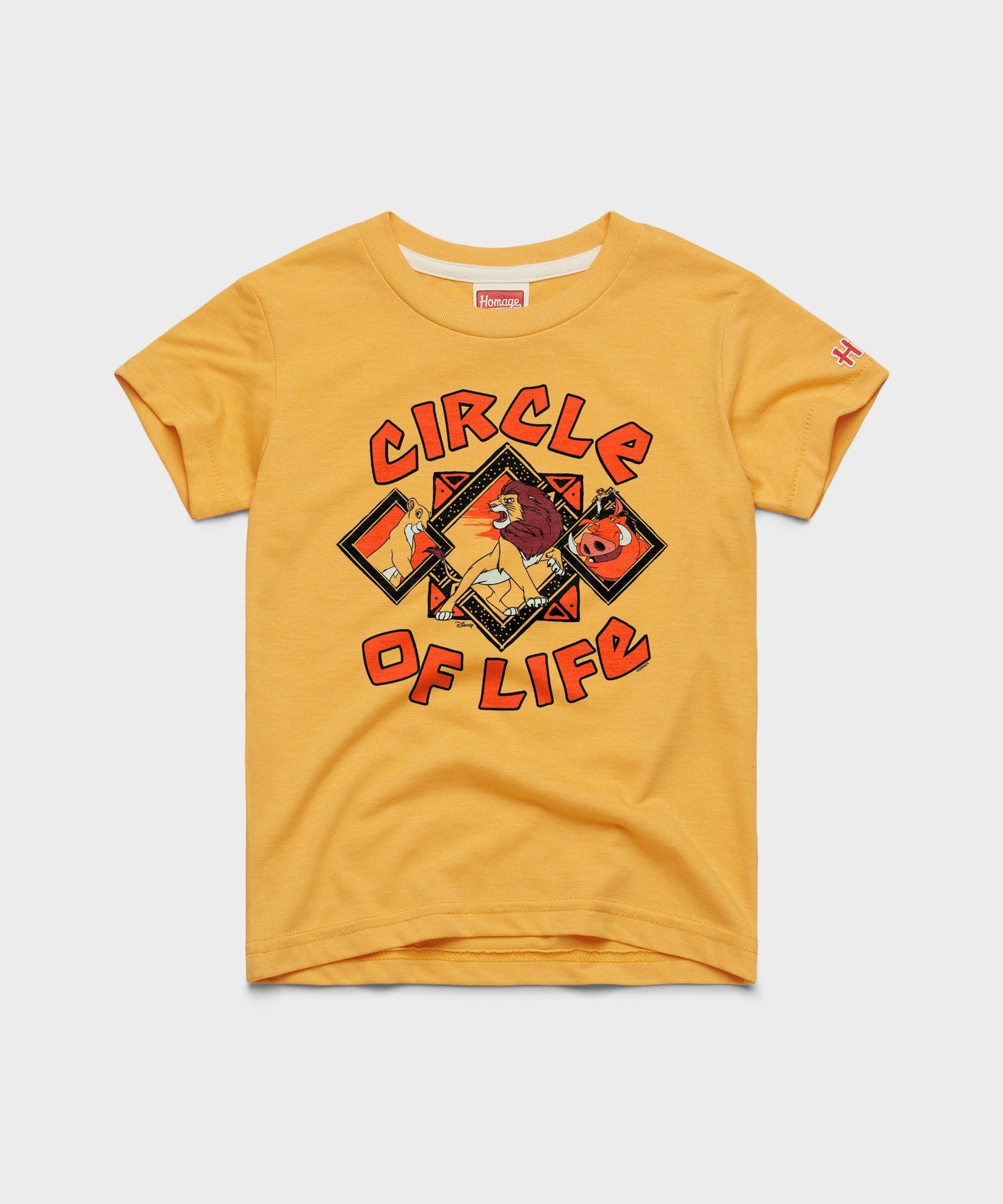 Youth Lion King Circle Of Life