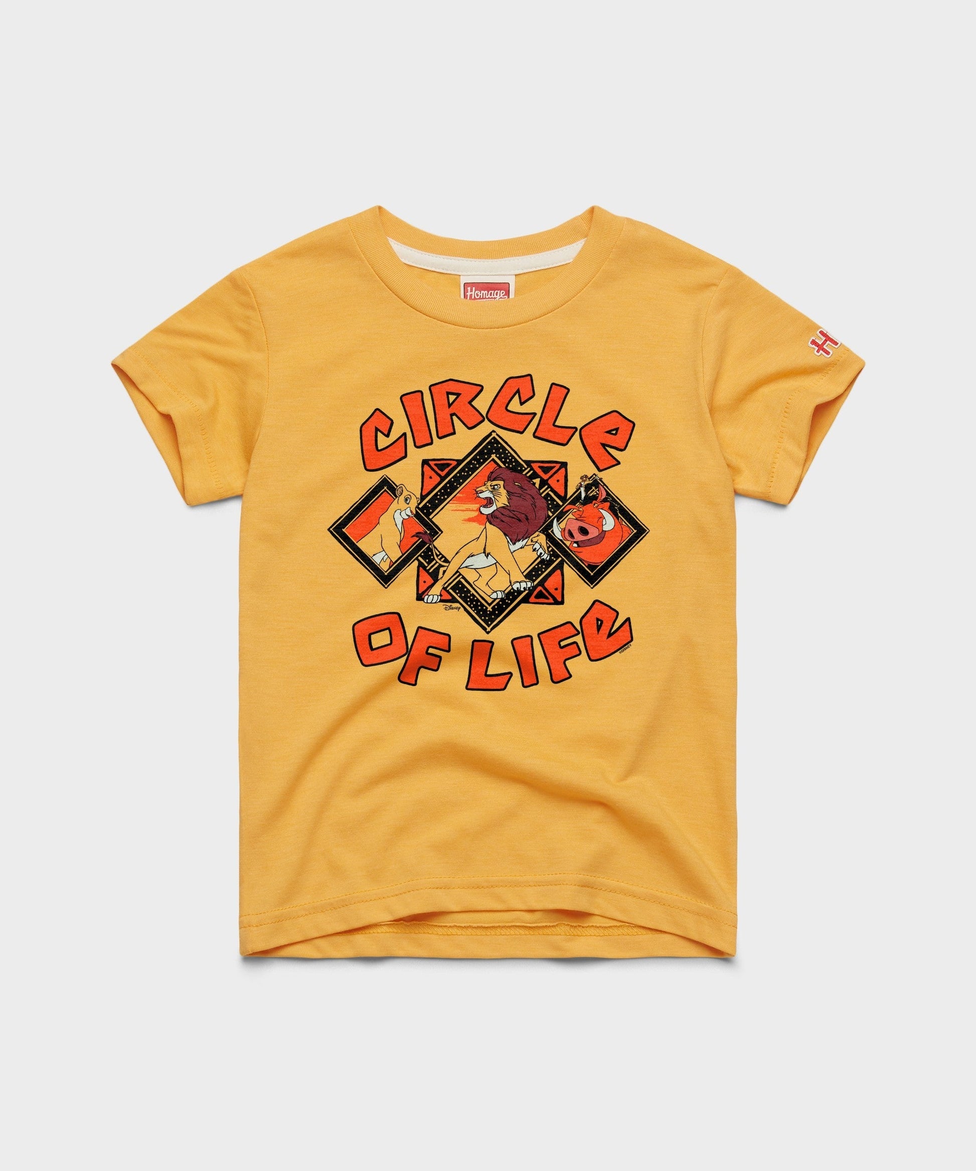 Youth Lion King Circle Of Life