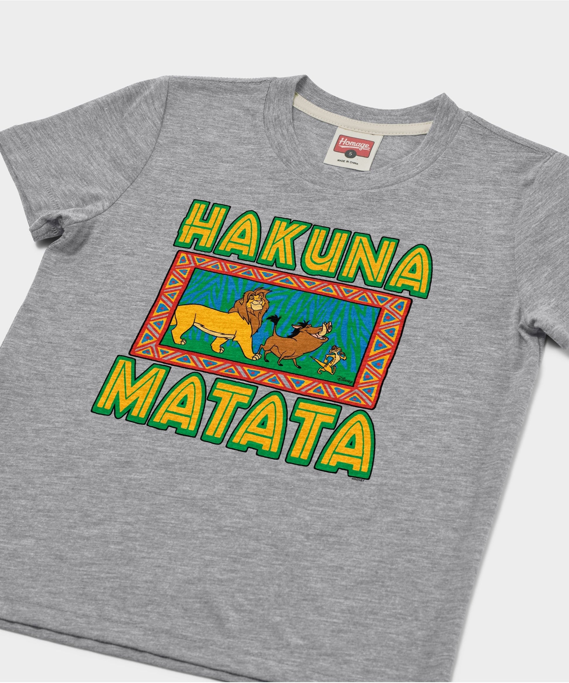 Youth Lion King Hakuna Matata