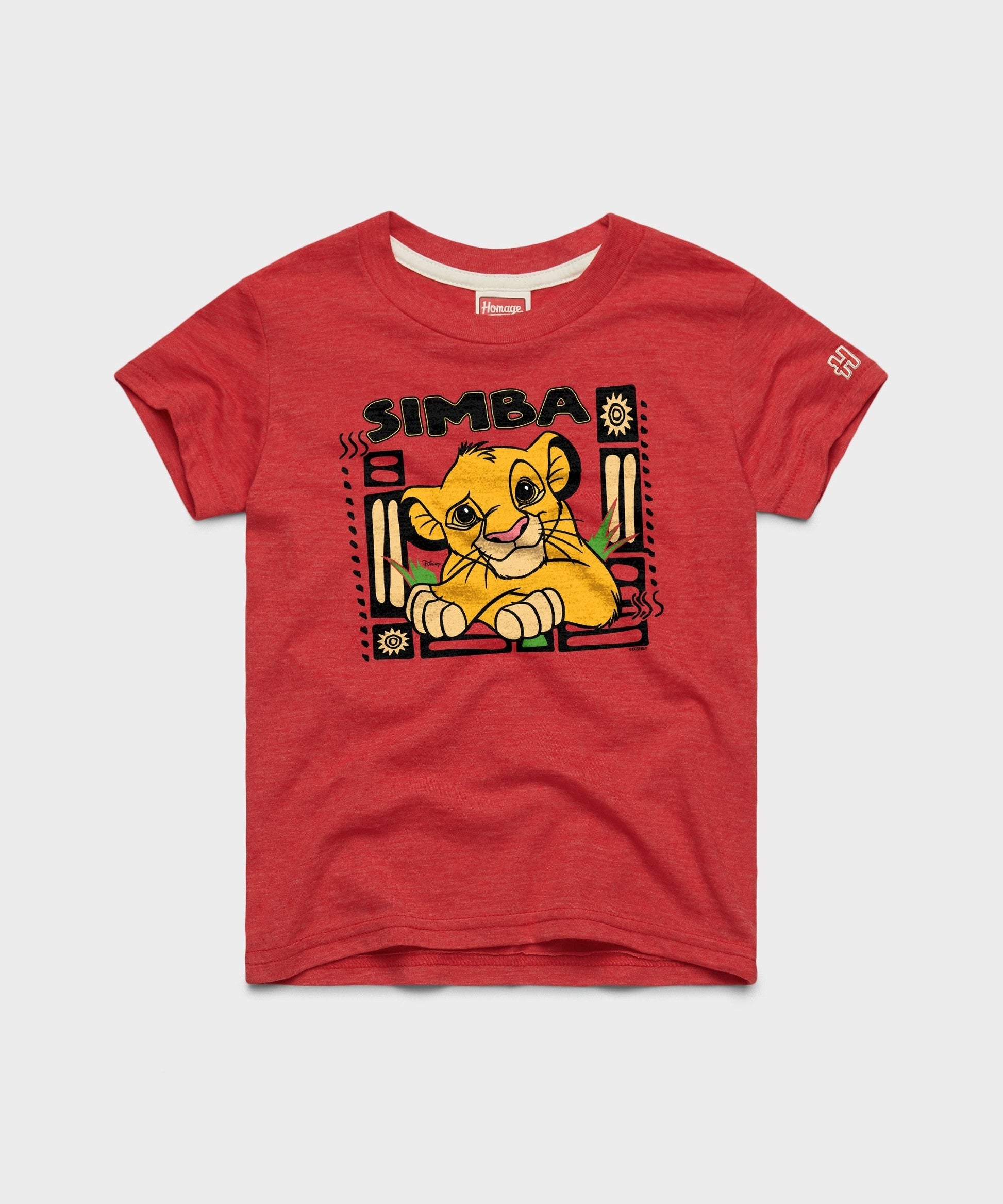 Youth Lion King Simba