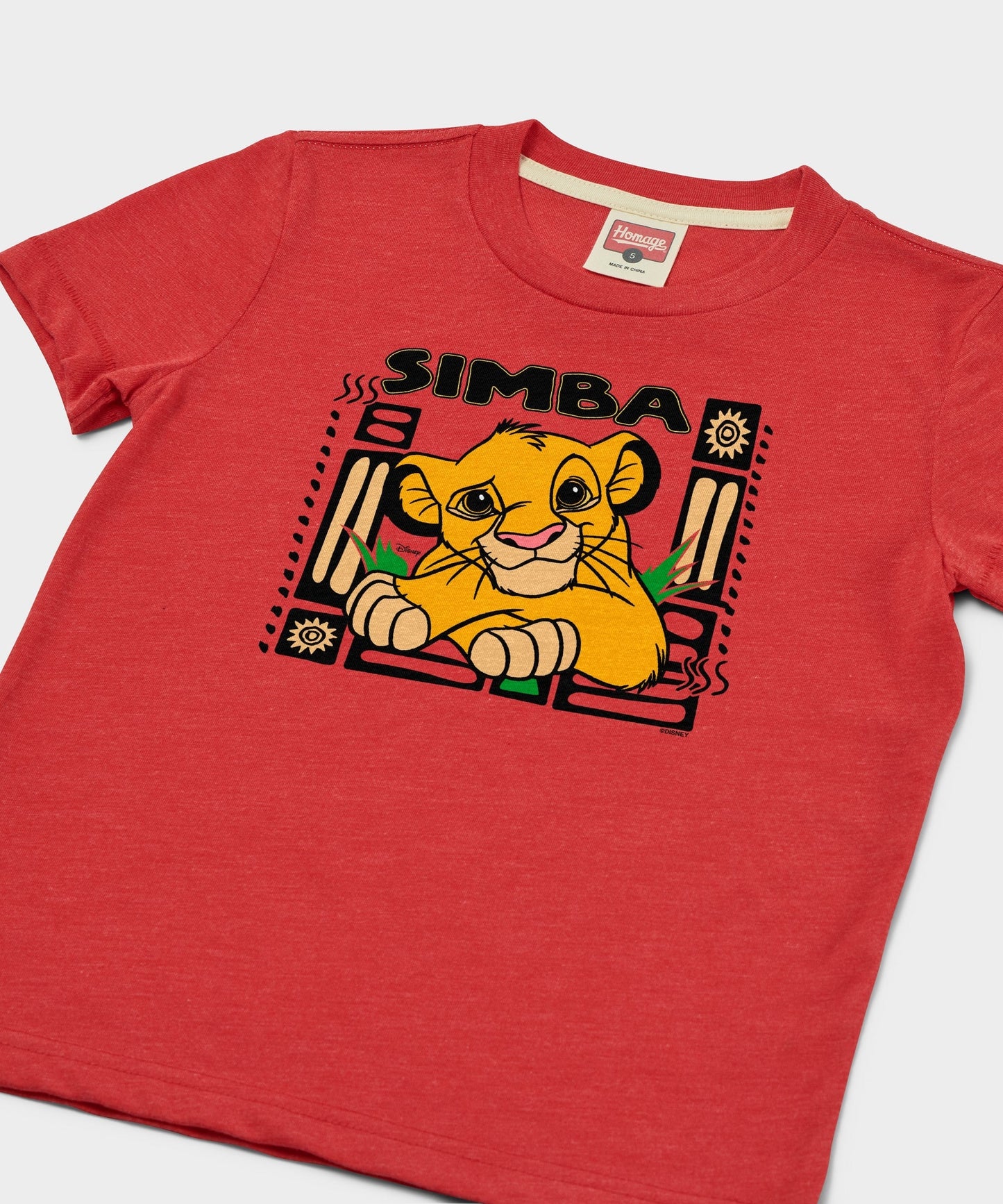 Youth Lion King Simba