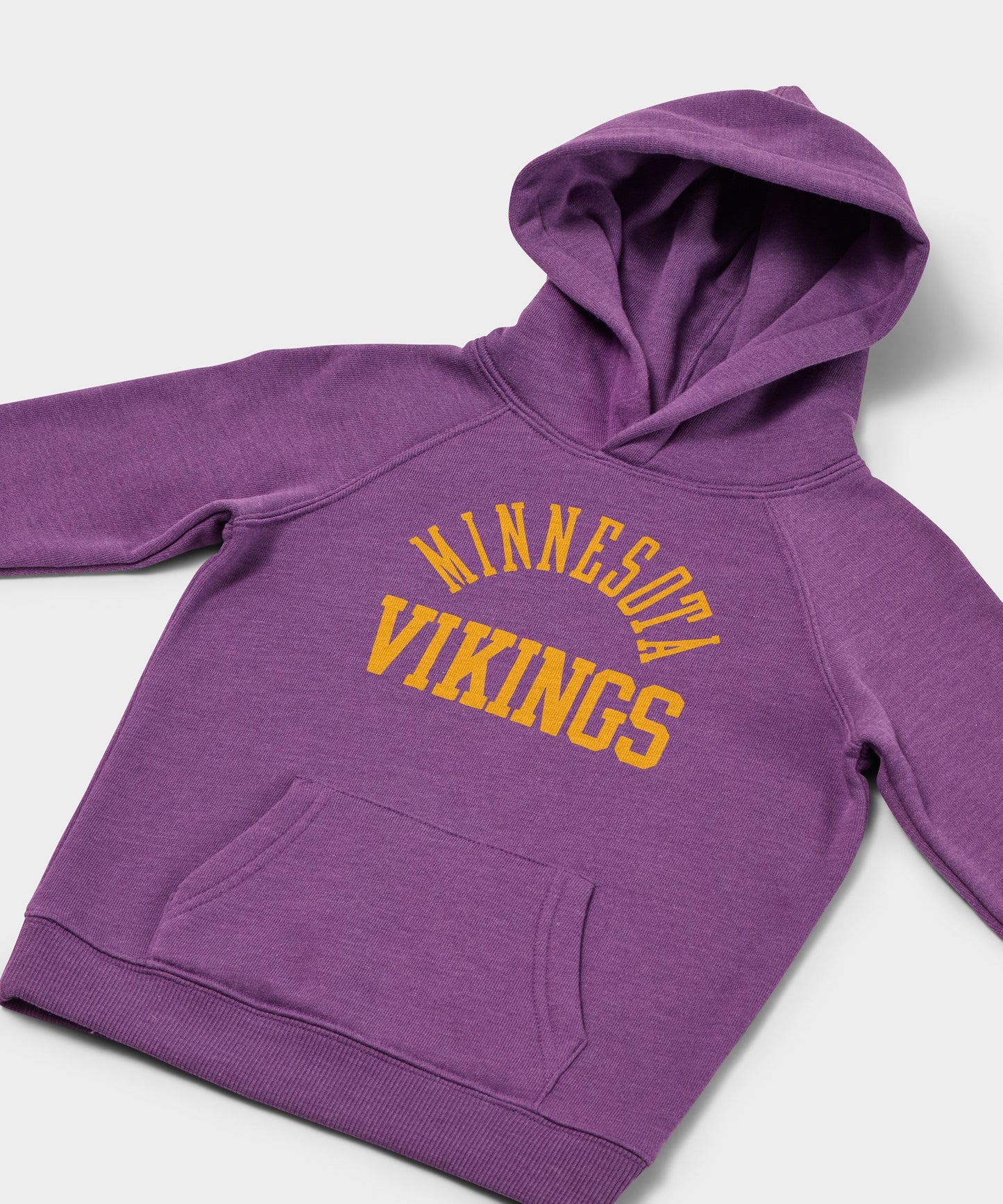 Youth Minnesota Vikings Classic Hoodie