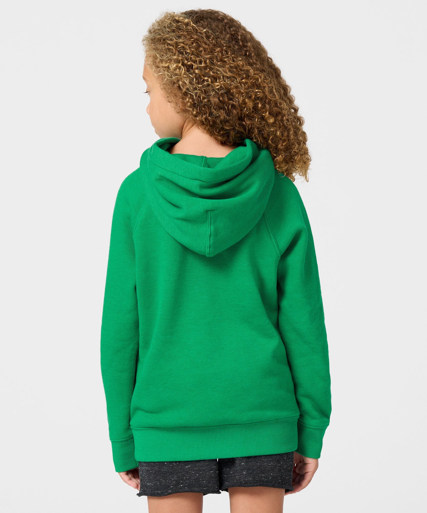 Youth Muppets Merry Christmas To All Hoodie