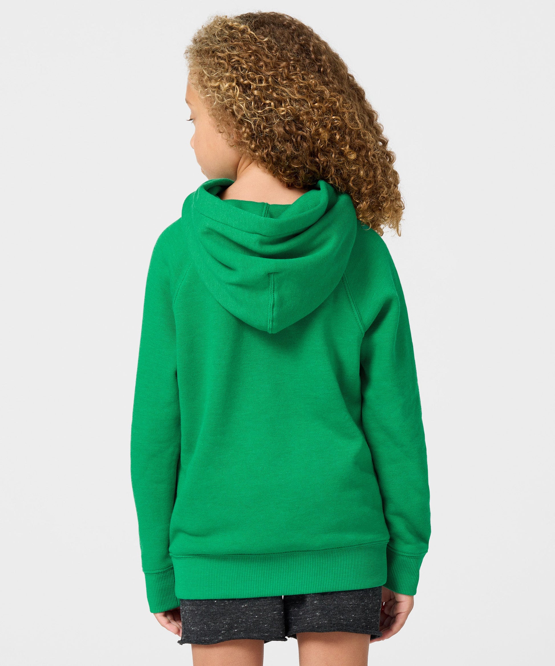 Youth Muppets Merry Christmas To All Hoodie