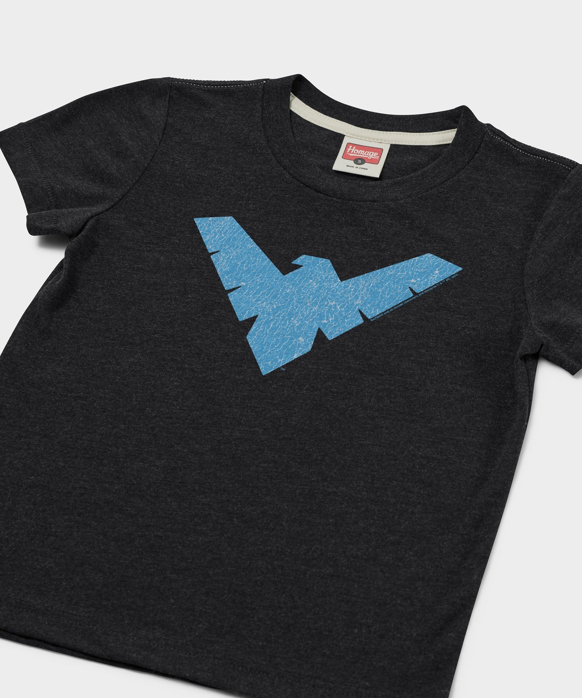 Youth Nightwing Logo