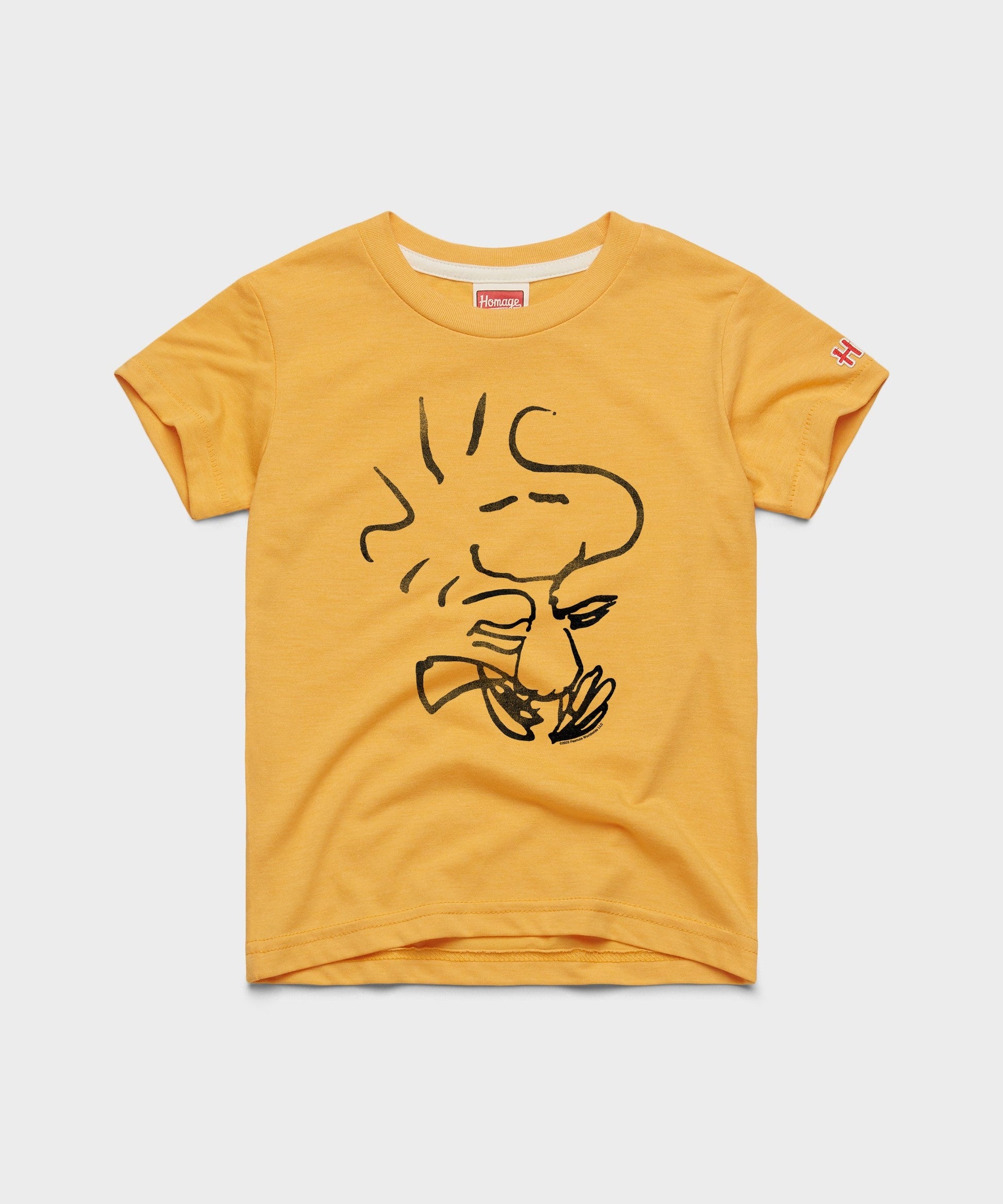 Youth Peanuts Woodstock Character