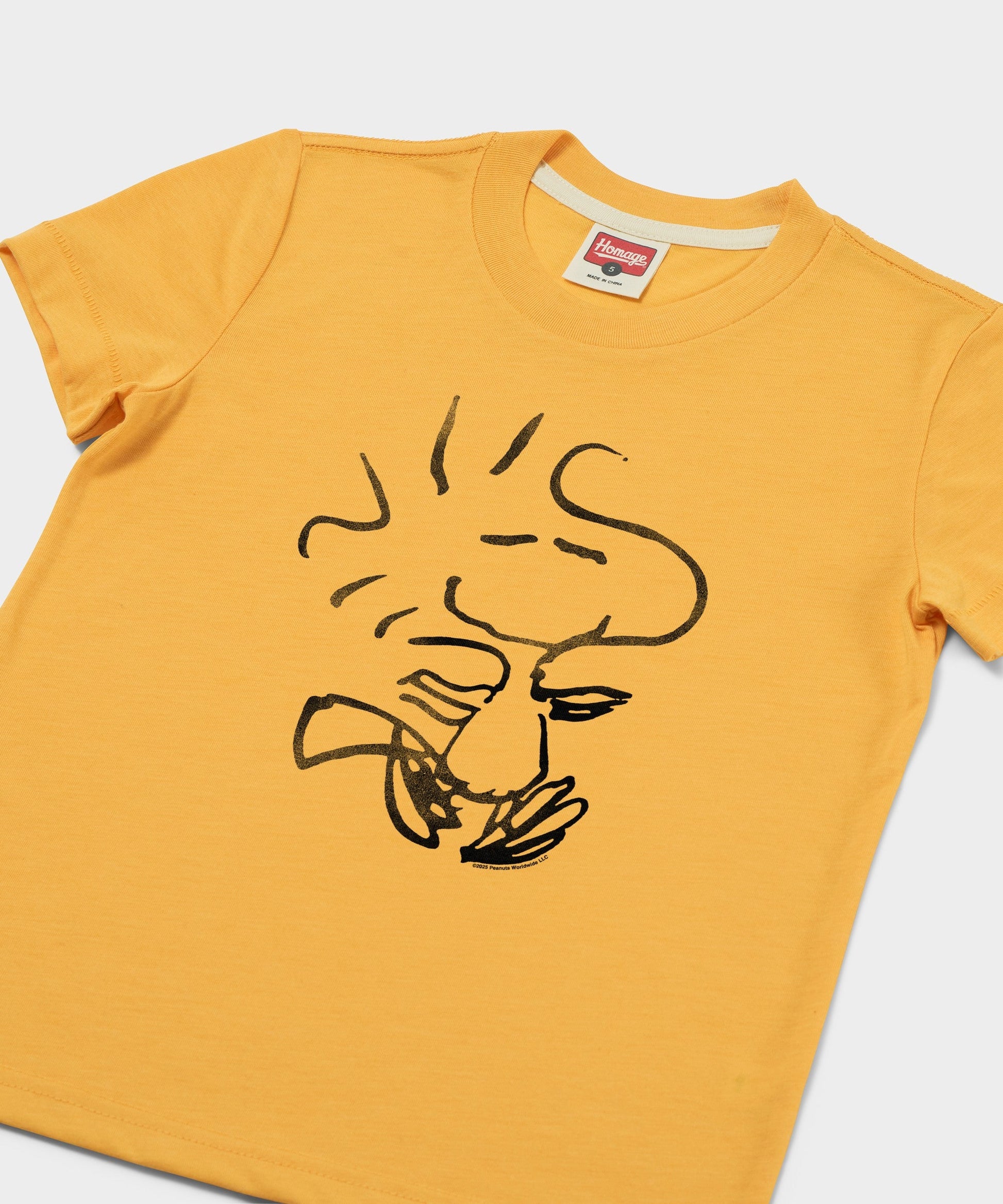 Youth Peanuts Woodstock Character