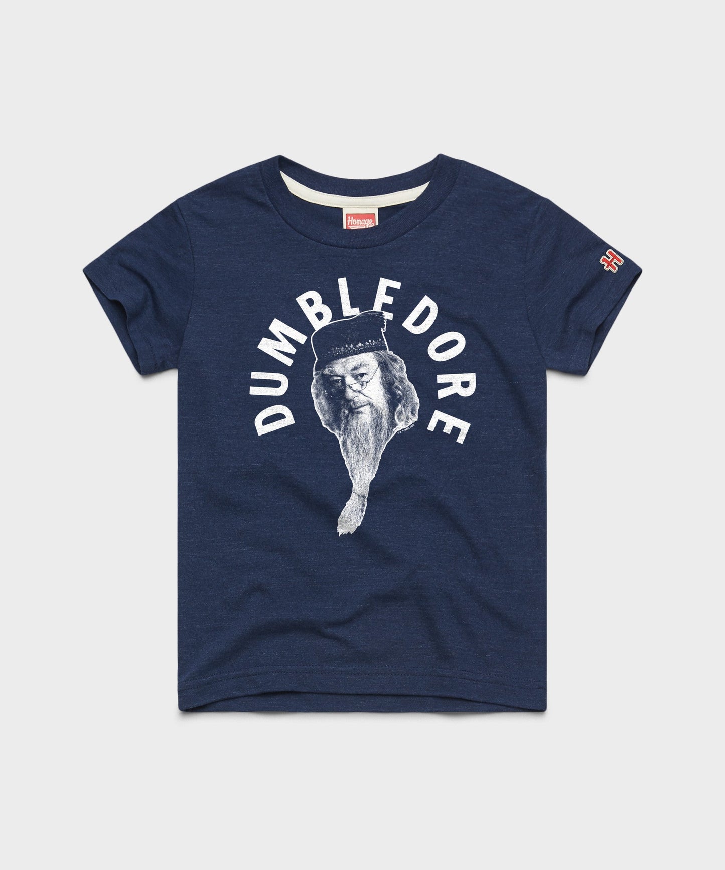 Youth Professor Dumbledore