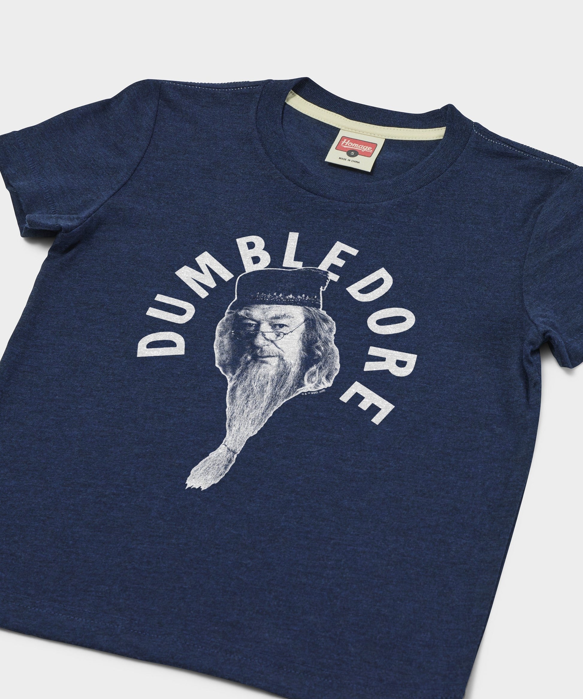 Youth Professor Dumbledore