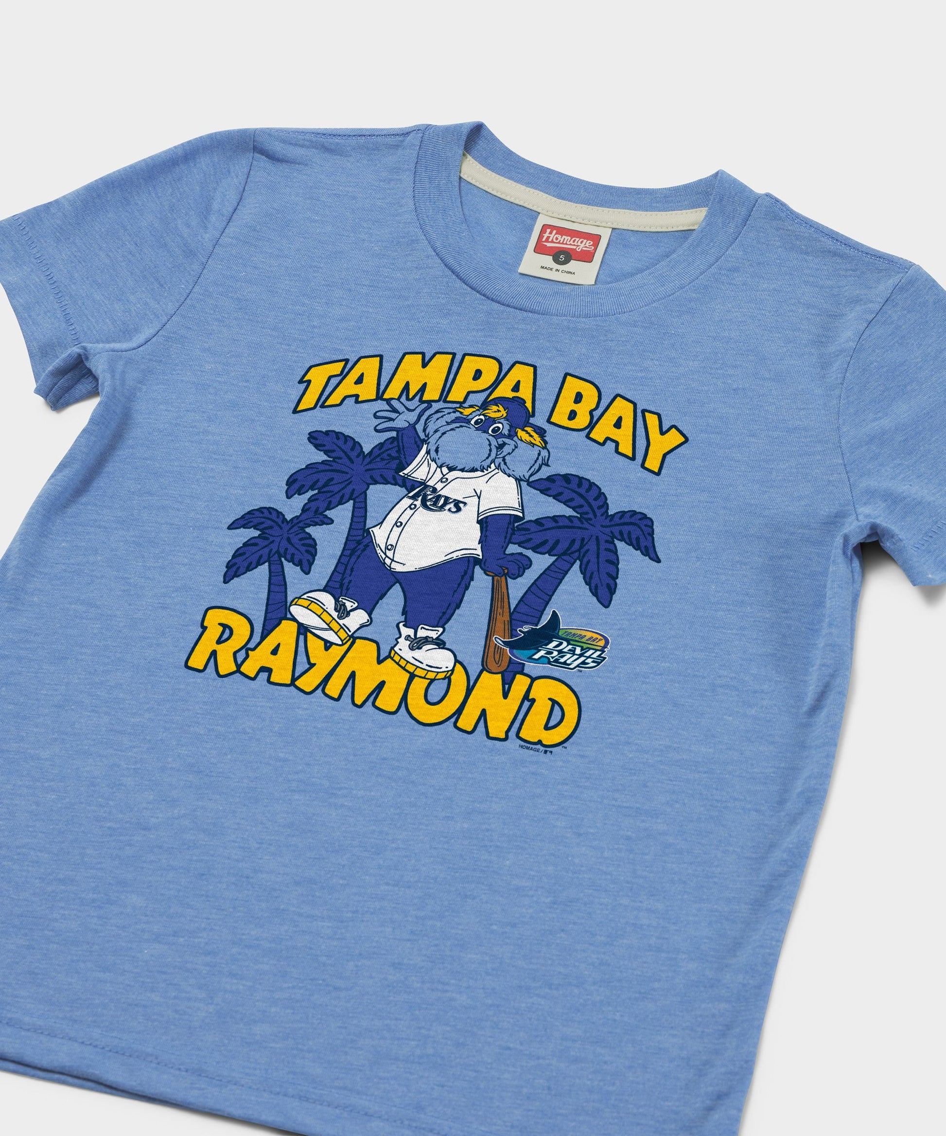 Youth Tampa Bay Rays Raymond