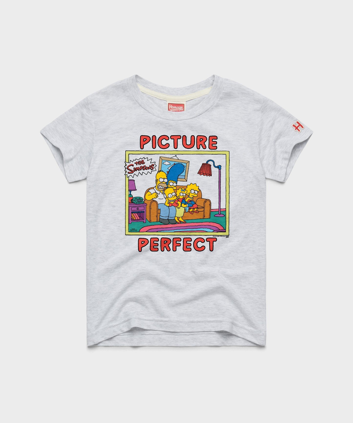 Youth The Simpsons Picture Perfect