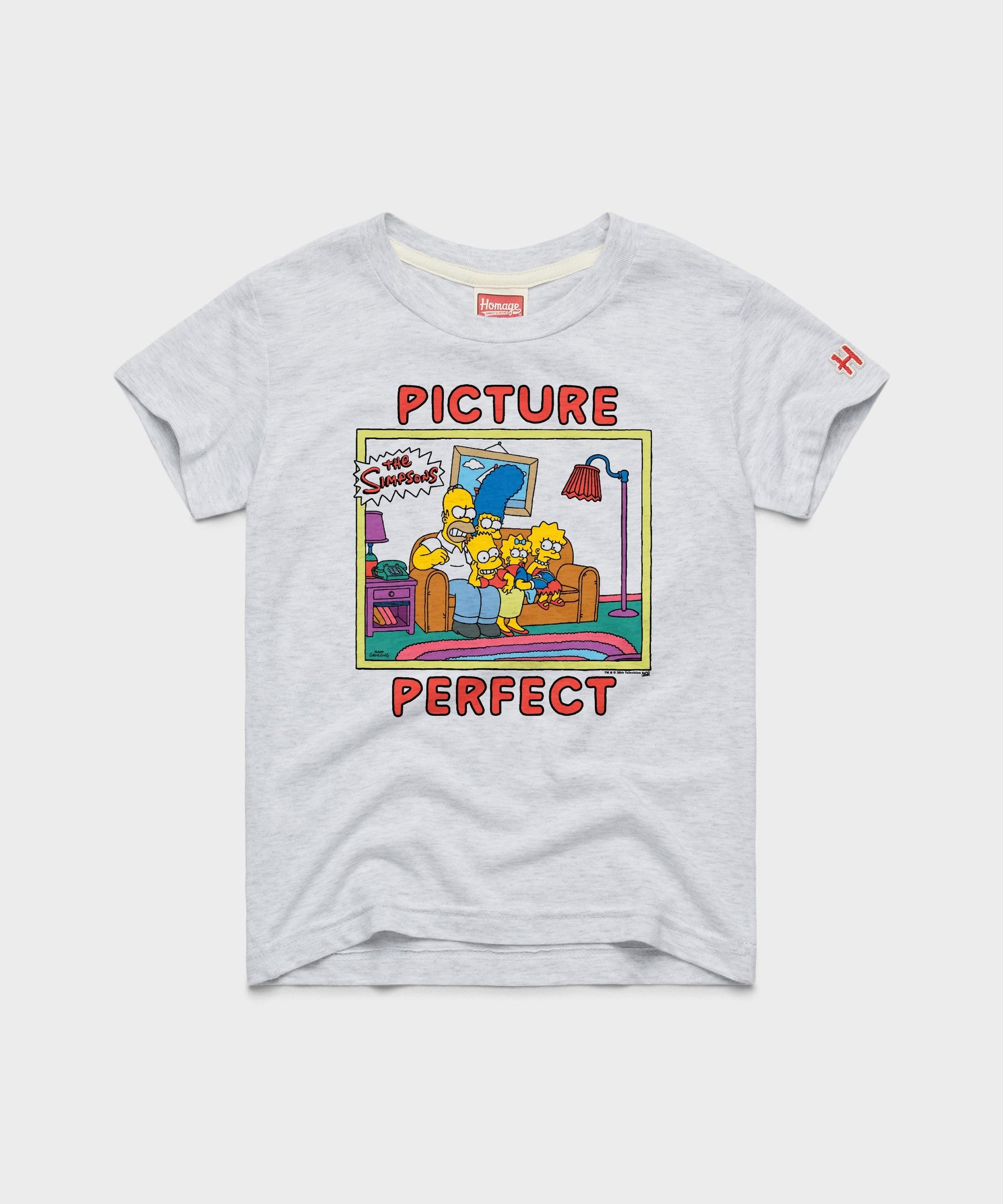 Youth The Simpsons Picture Perfect