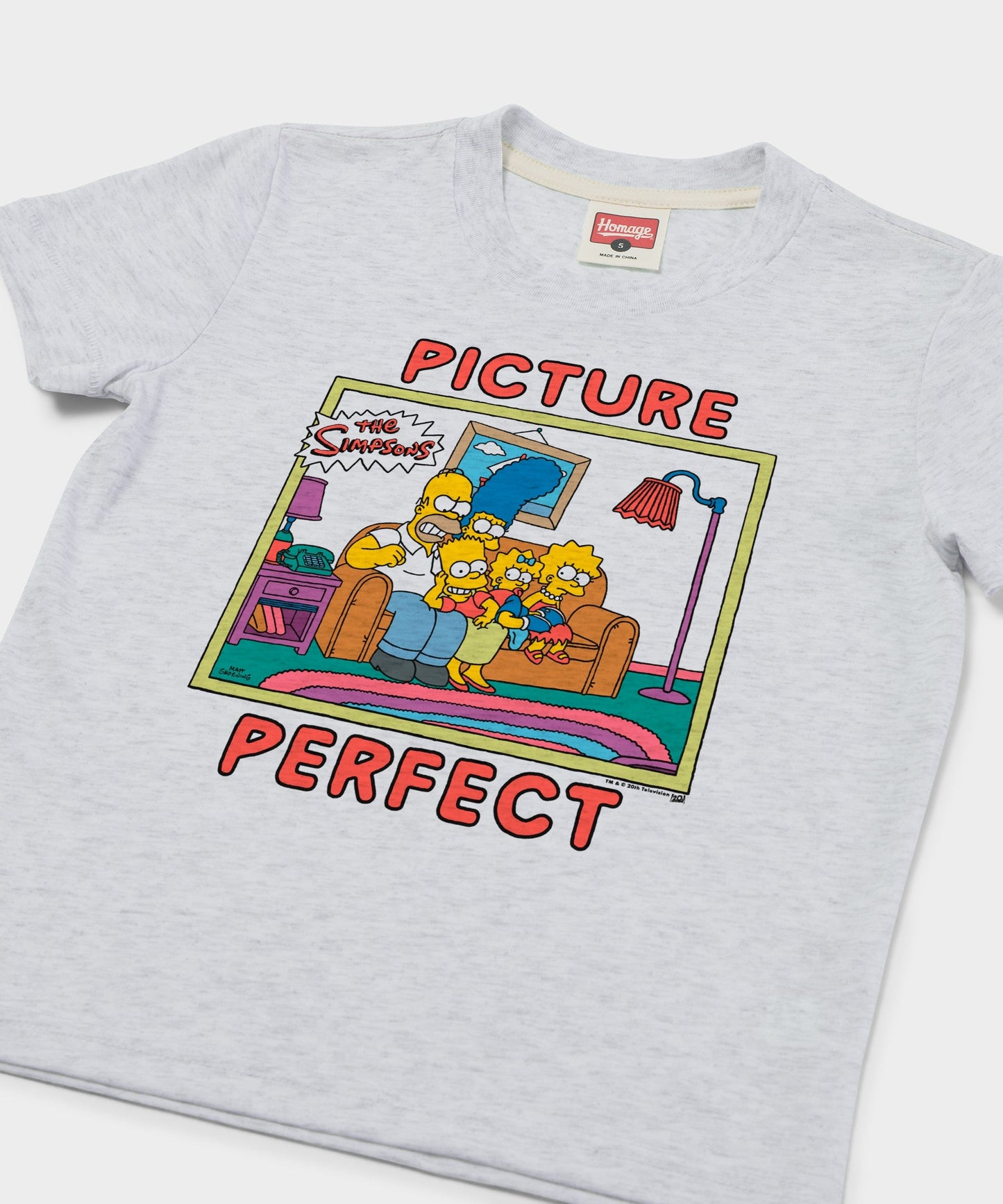 Youth The Simpsons Picture Perfect
