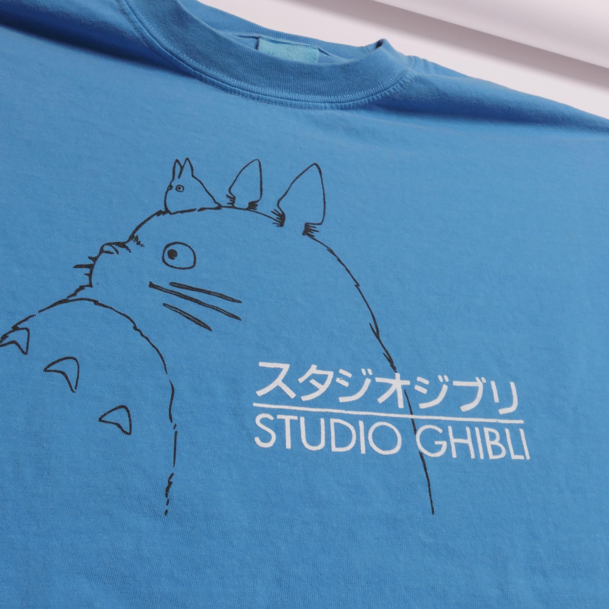 Studio Ghibli Animation House Neighbor Totoro Hayao Miyazaki Japanese Animator Anime Manga Kiki'S Delivery Service Movie Xl (3)
