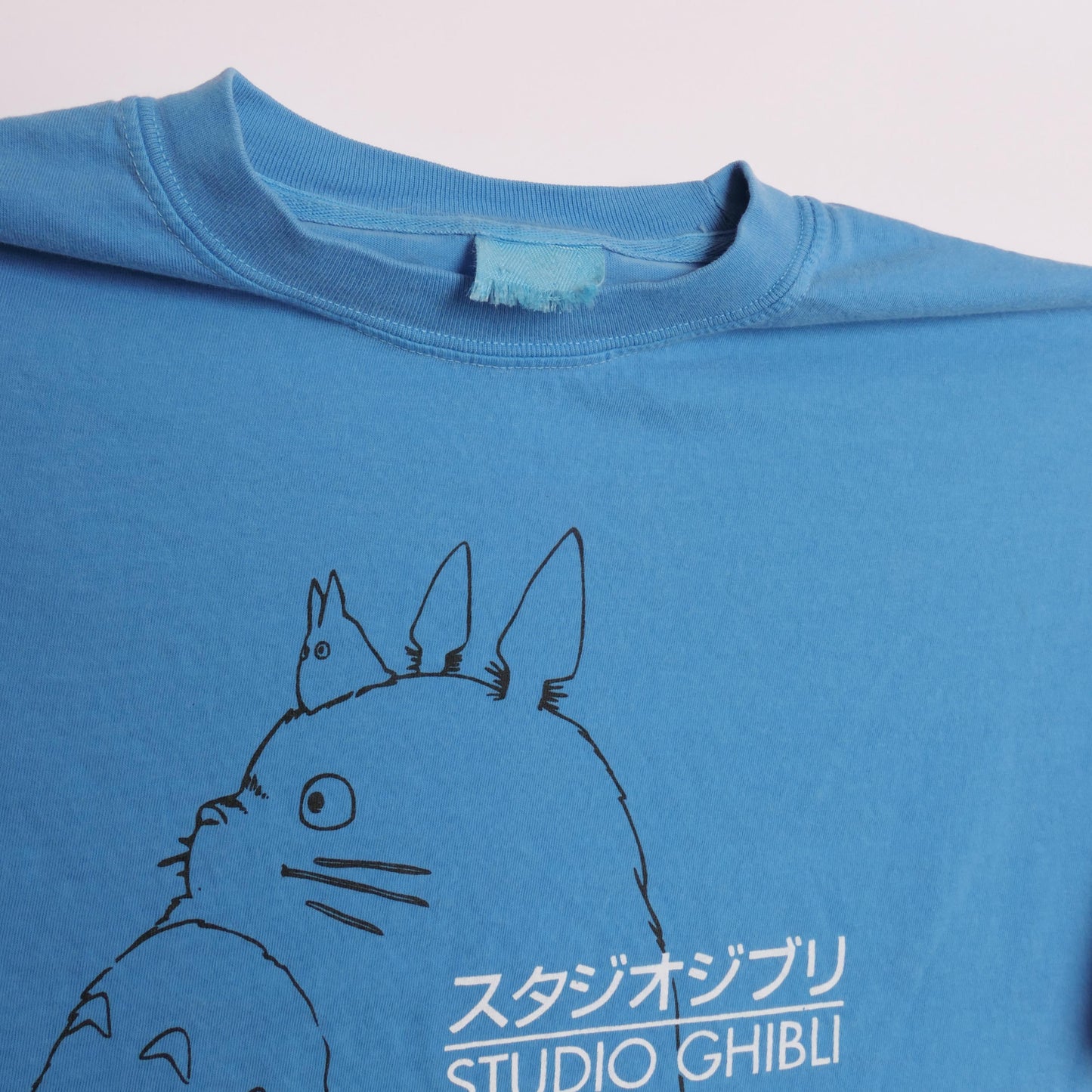 Studio Ghibli Animation House Neighbor Totoro Hayao Miyazaki Japanese Animator Anime Manga Kiki'S Delivery Service Movie Xl (4)