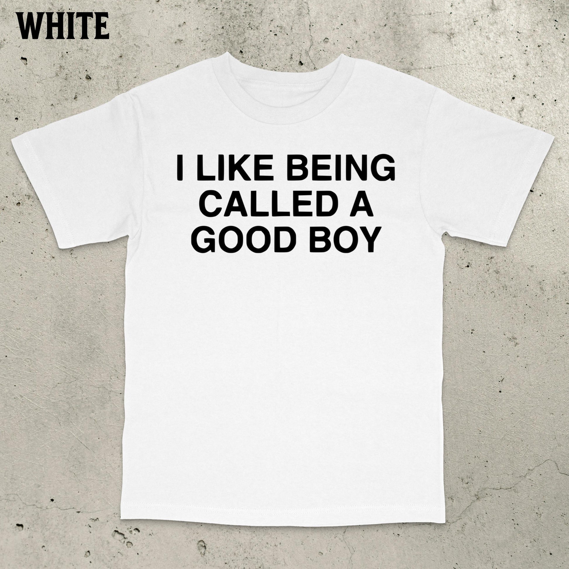 Good Boy Meme Stupid Dumb Brain Ro Embarrassing Saying Statemen (2)