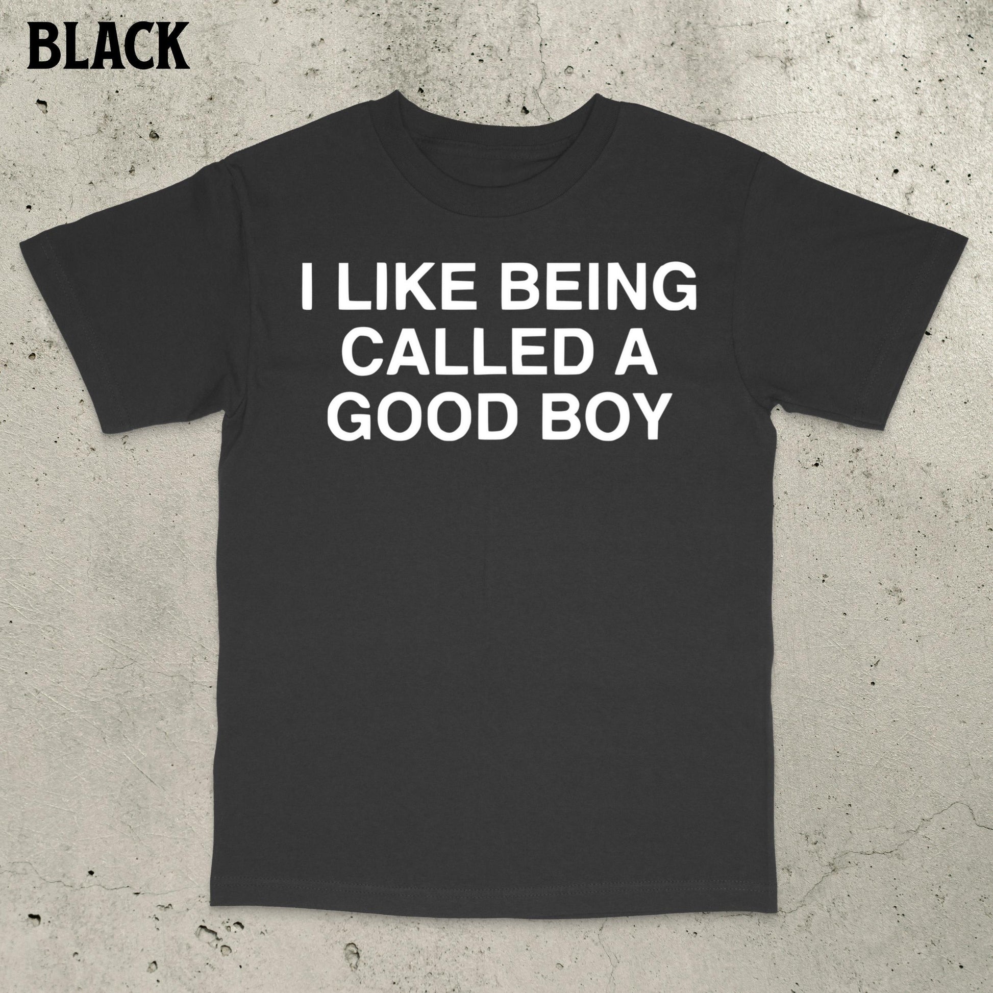 Good Boy Meme Stupid Dumb Brain Ro Embarrassing Saying Statemen (1)