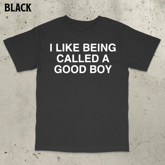 Good Boy Meme Stupid Dumb Brain Ro Embarrassing Saying Statemen (1)