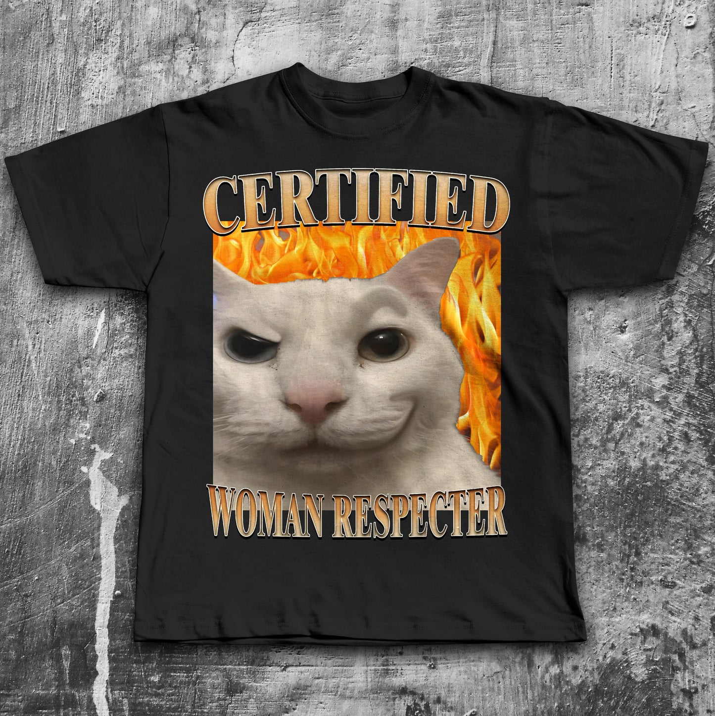 Certified Woman Respecter Cat Meme Tee Woman Man Silly Cats Ugly Stupid Joke Cringe Tees (4)