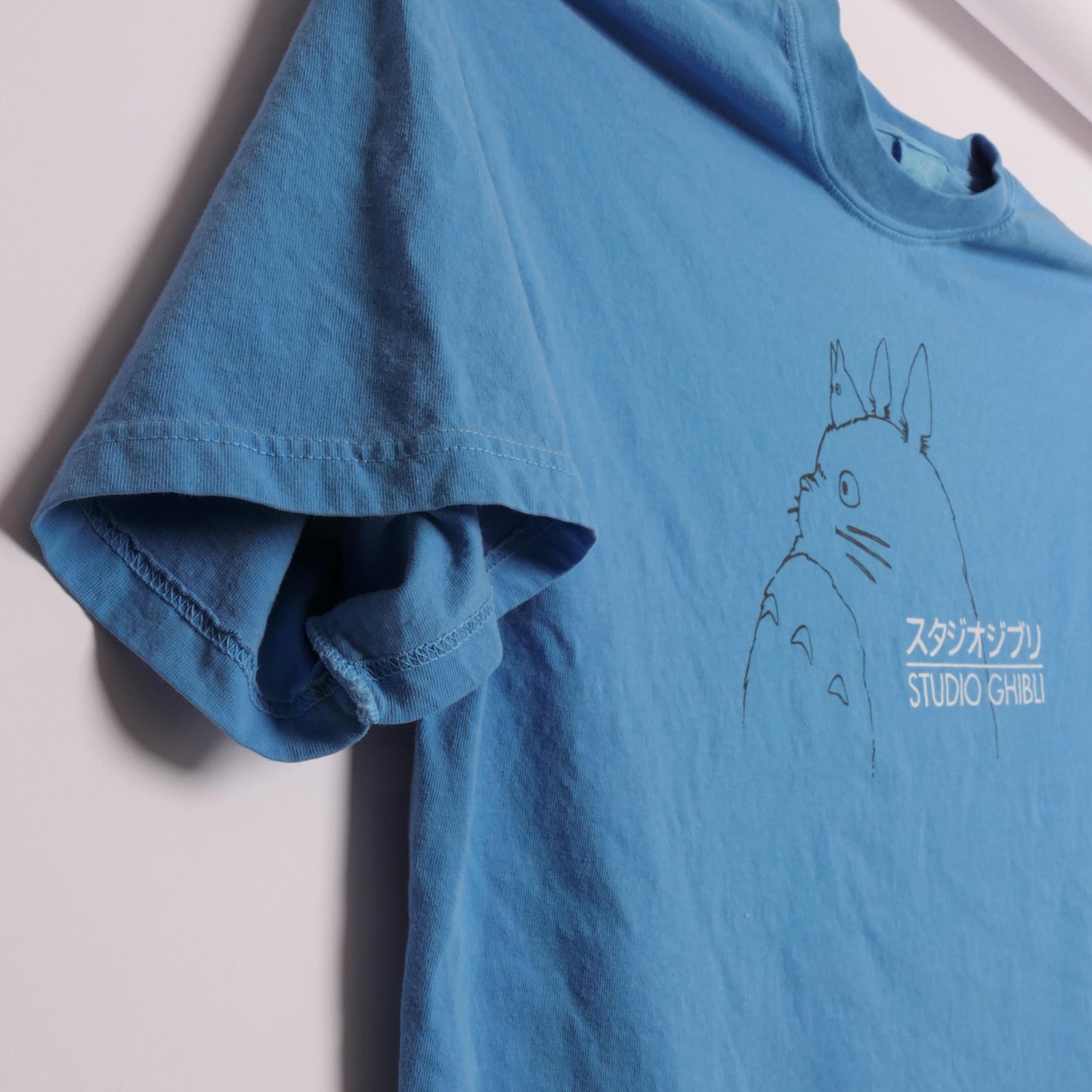 Studio Ghibli Animation House Neighbor Totoro Hayao Miyazaki Japanese Animator Anime Manga Kiki'S Delivery Service Movie Xl (2)