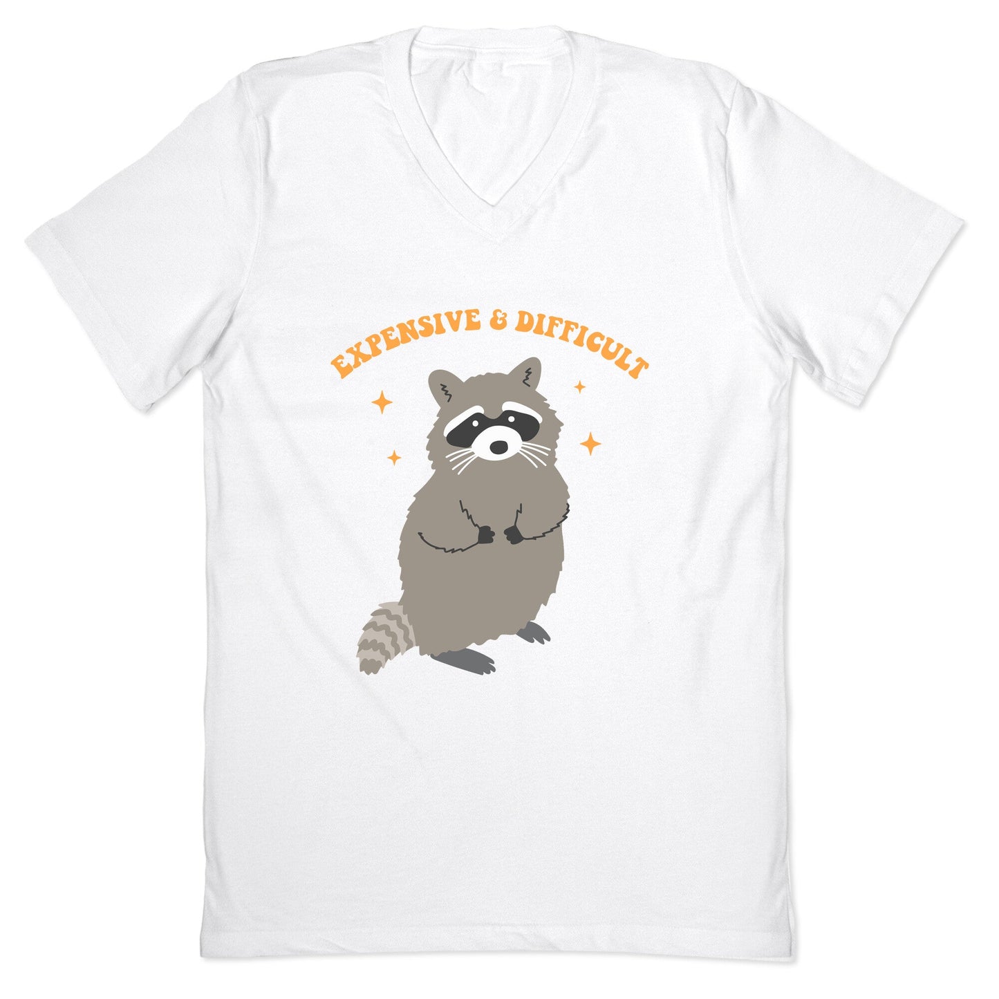 Expensive and Difficult V-Neck