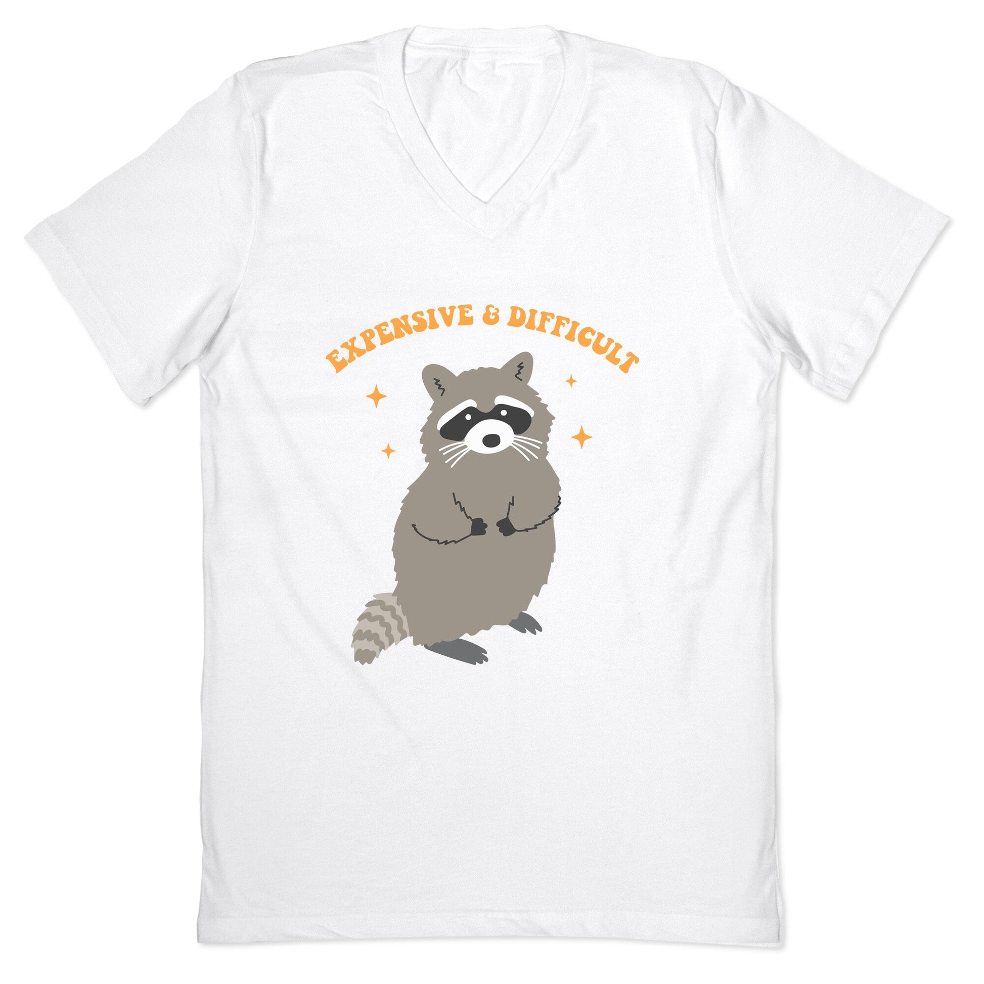 Expensive and Difficult V-Neck