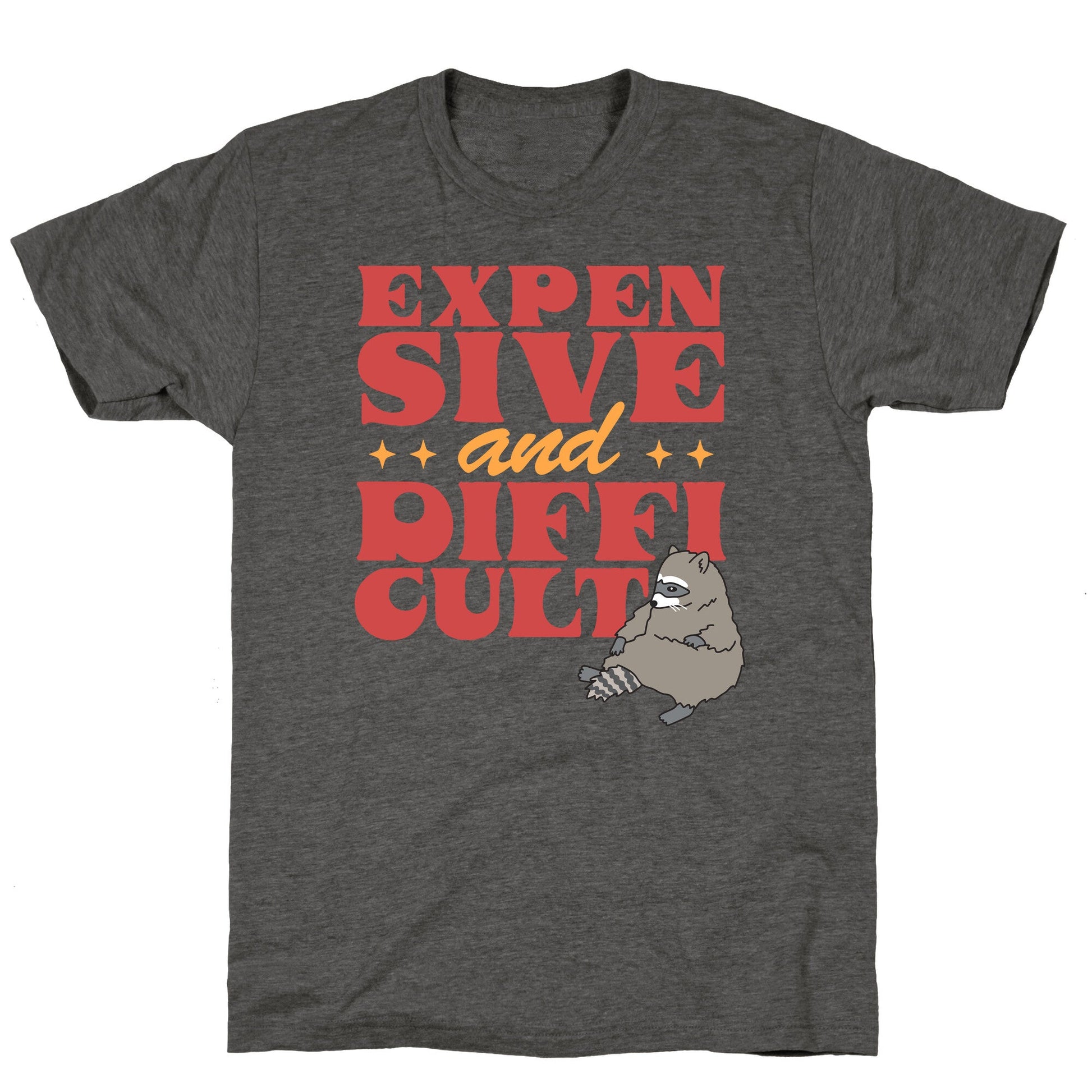 Raccoon Expensive and Difficult Unisex Triblend Tee