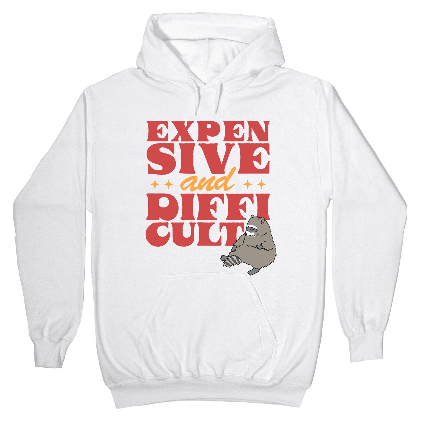 Raccoon Expensive and Difficult Hoodie