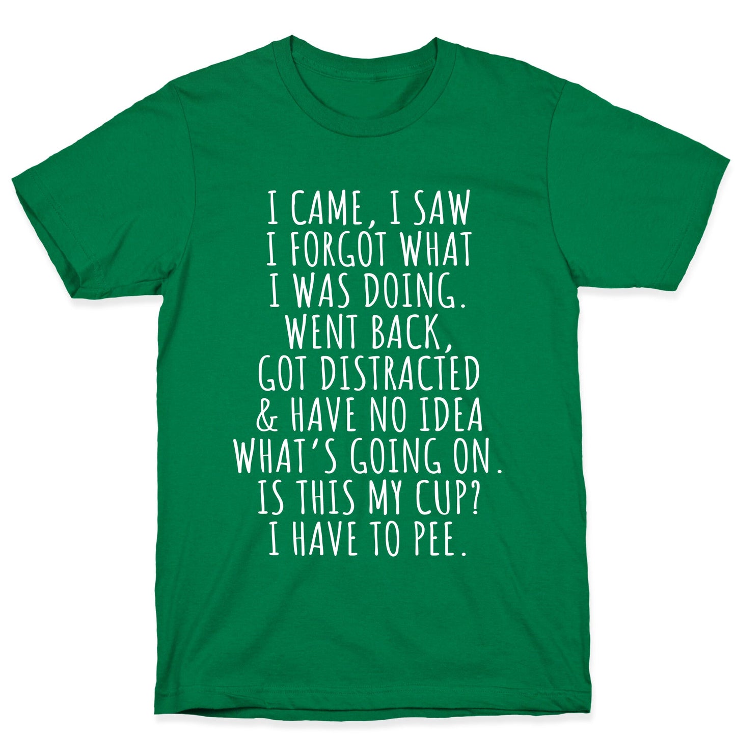 I Came I Saw I Forgot What I Was Doing T-Shirt